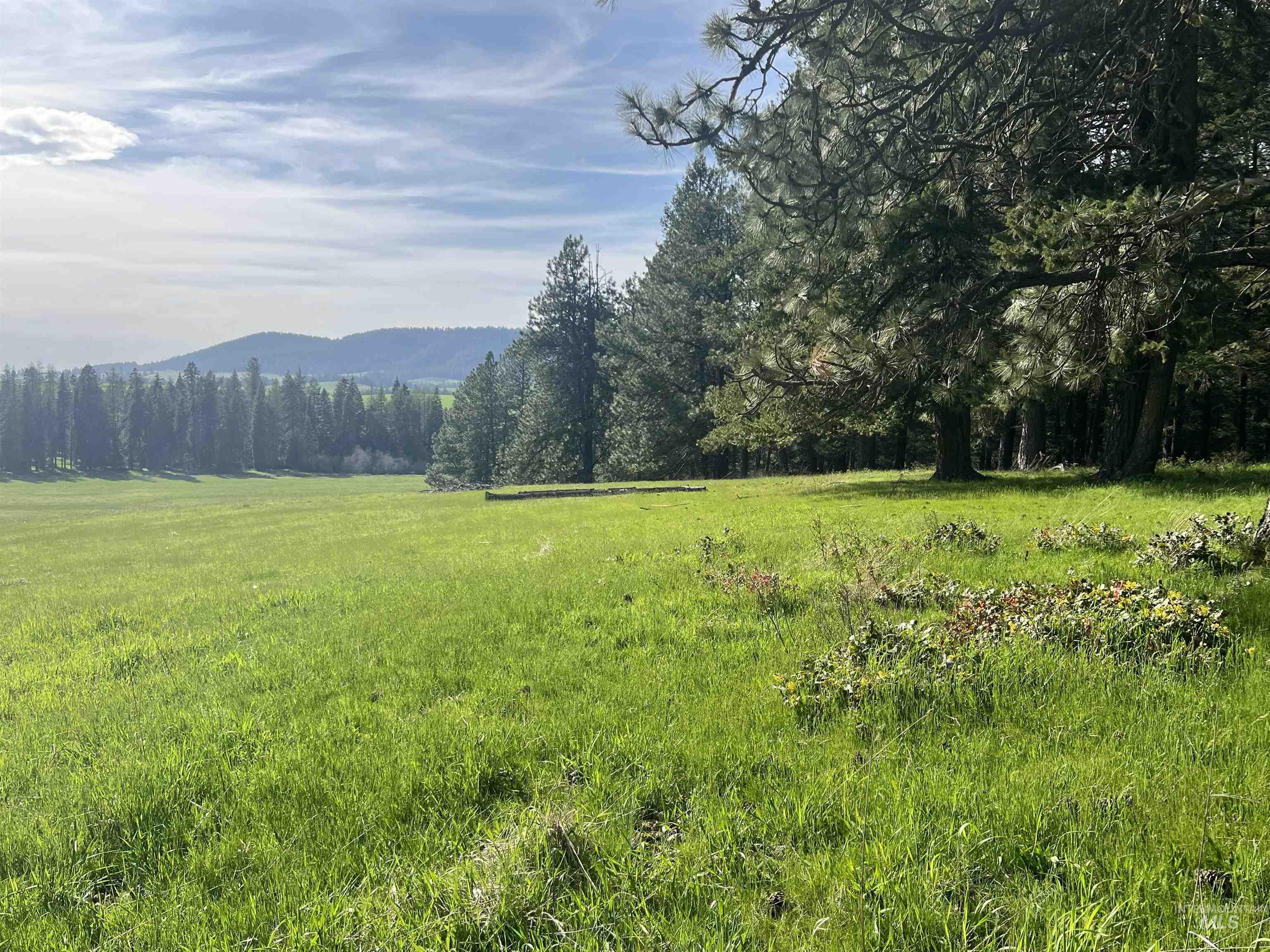 1462 Deep Creek Rd, Potlatch, Idaho 83855, Land For Sale, Price $549,000, 98983365