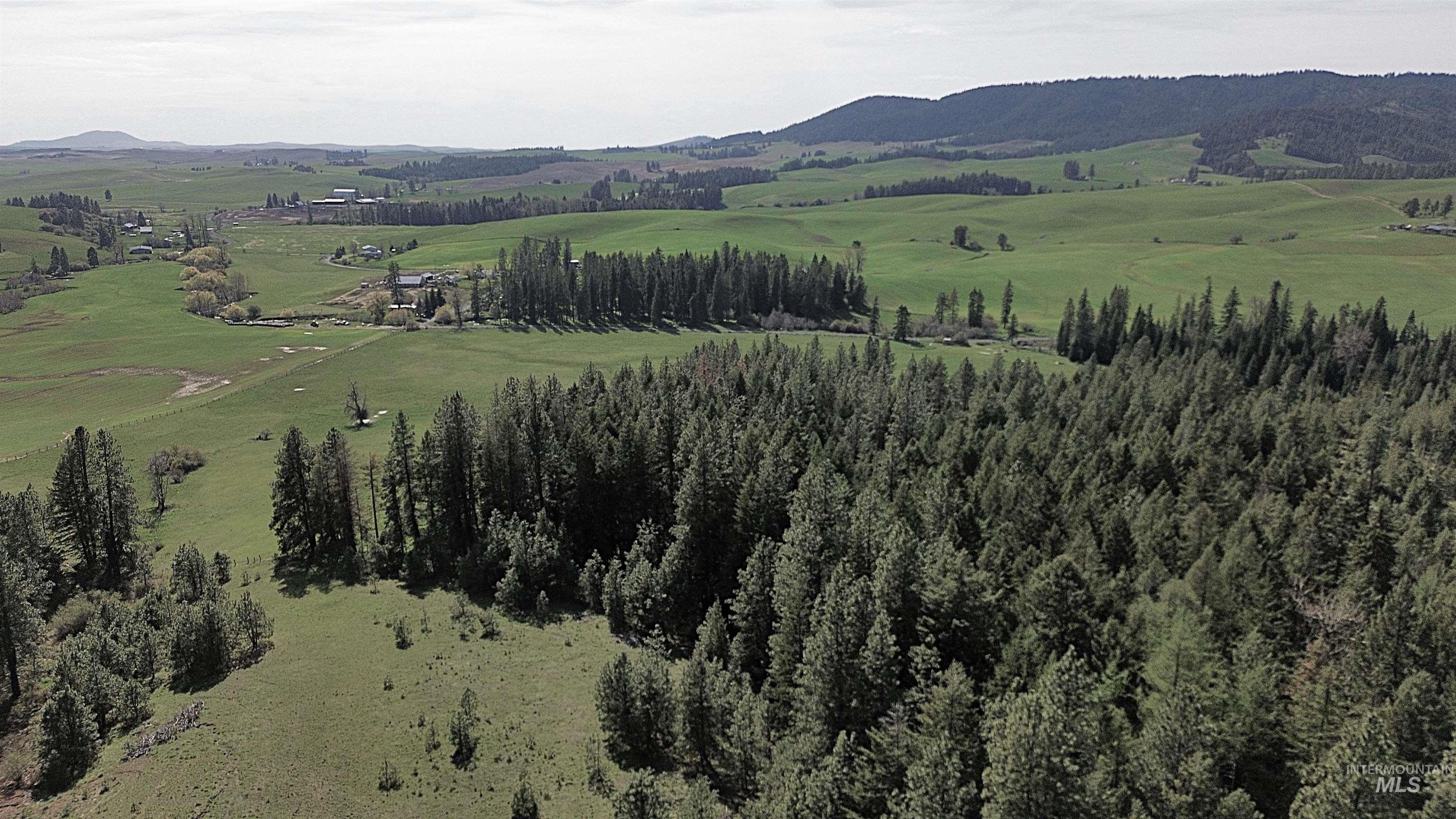 1462 Deep Creek Rd, Potlatch, Idaho 83855, Land For Sale, Price $549,000, 98983365