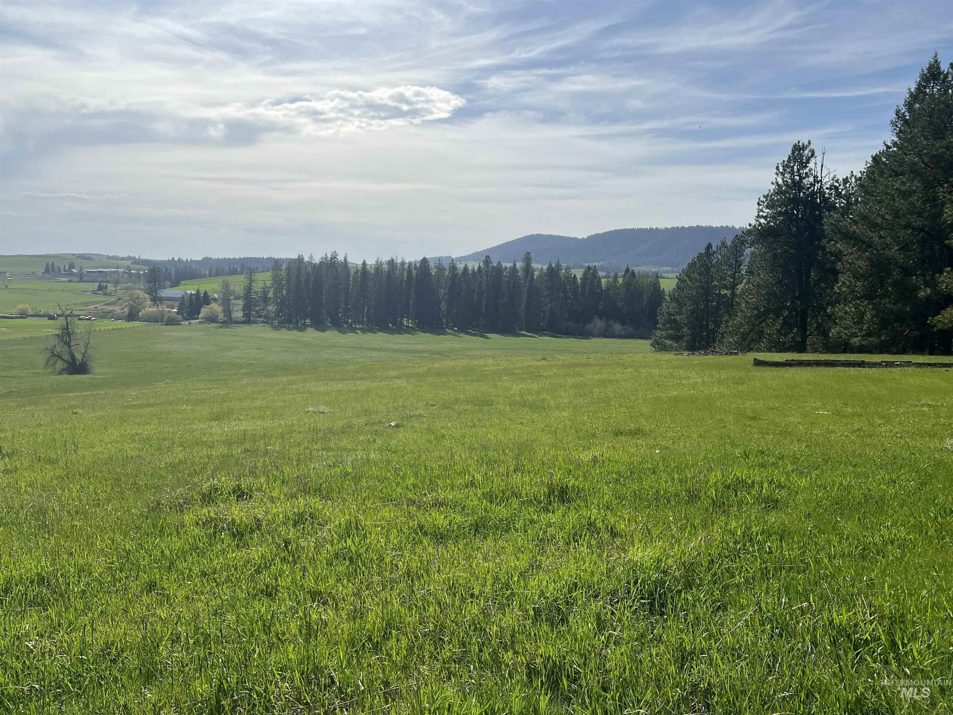 1462 Deep Creek Rd, Potlatch, Idaho 83855, Land For Sale, Price $549,000, 98983365