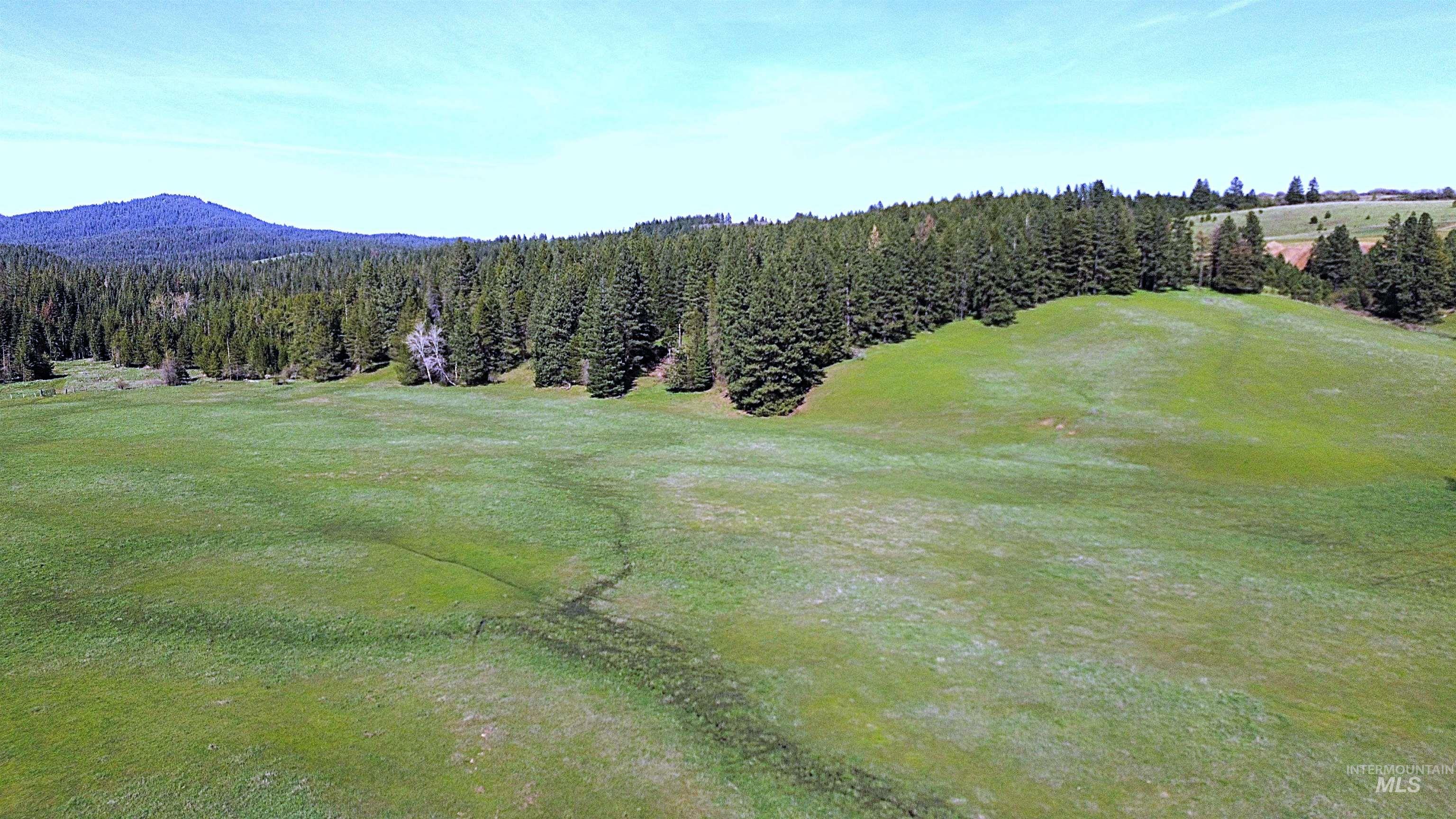 1462 Deep Creek Rd, Potlatch, Idaho 83855, Land For Sale, Price $549,000, 98983365