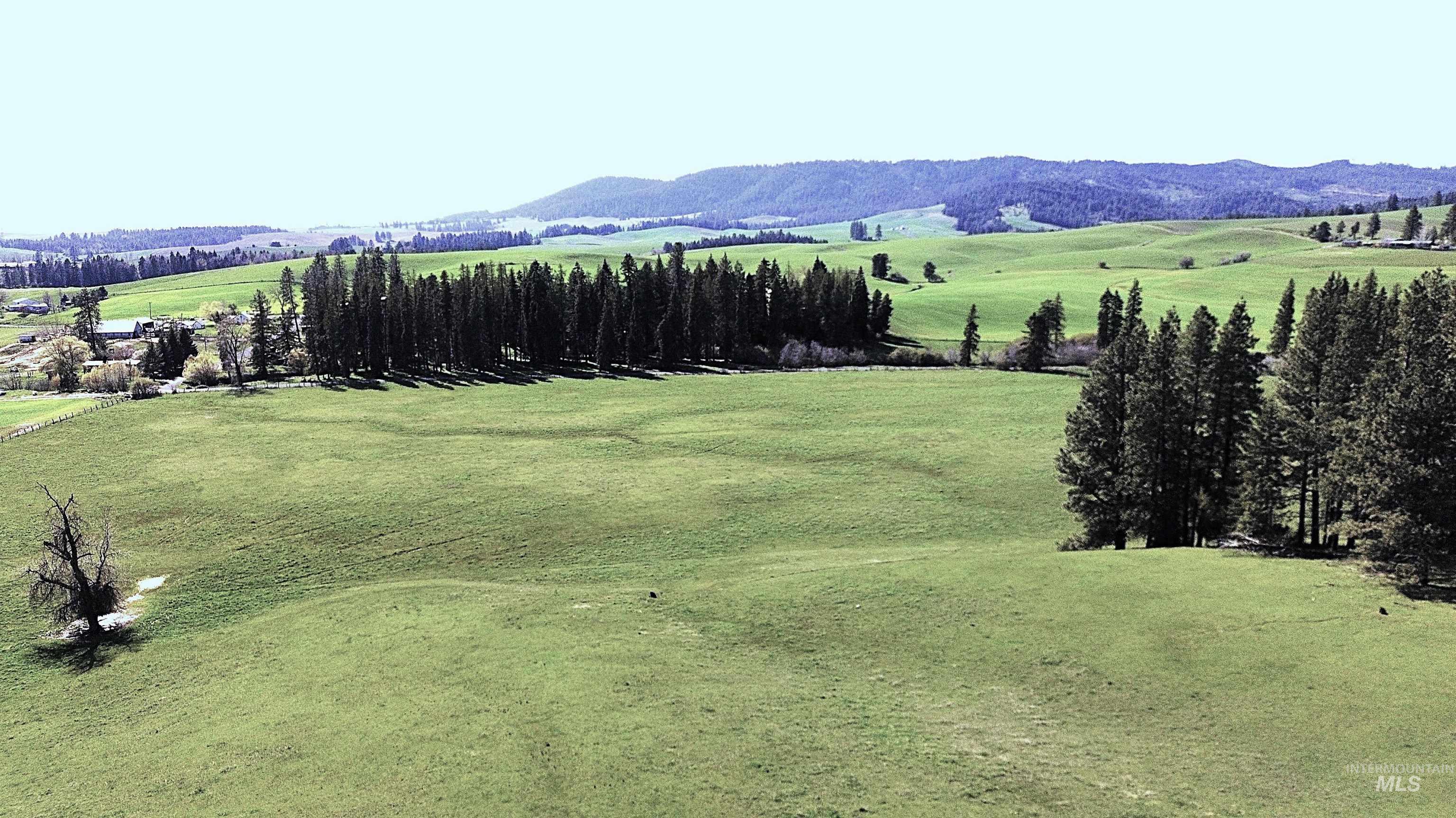 1462 Deep Creek Rd, Potlatch, Idaho 83855, Land For Sale, Price $549,000, 98983365