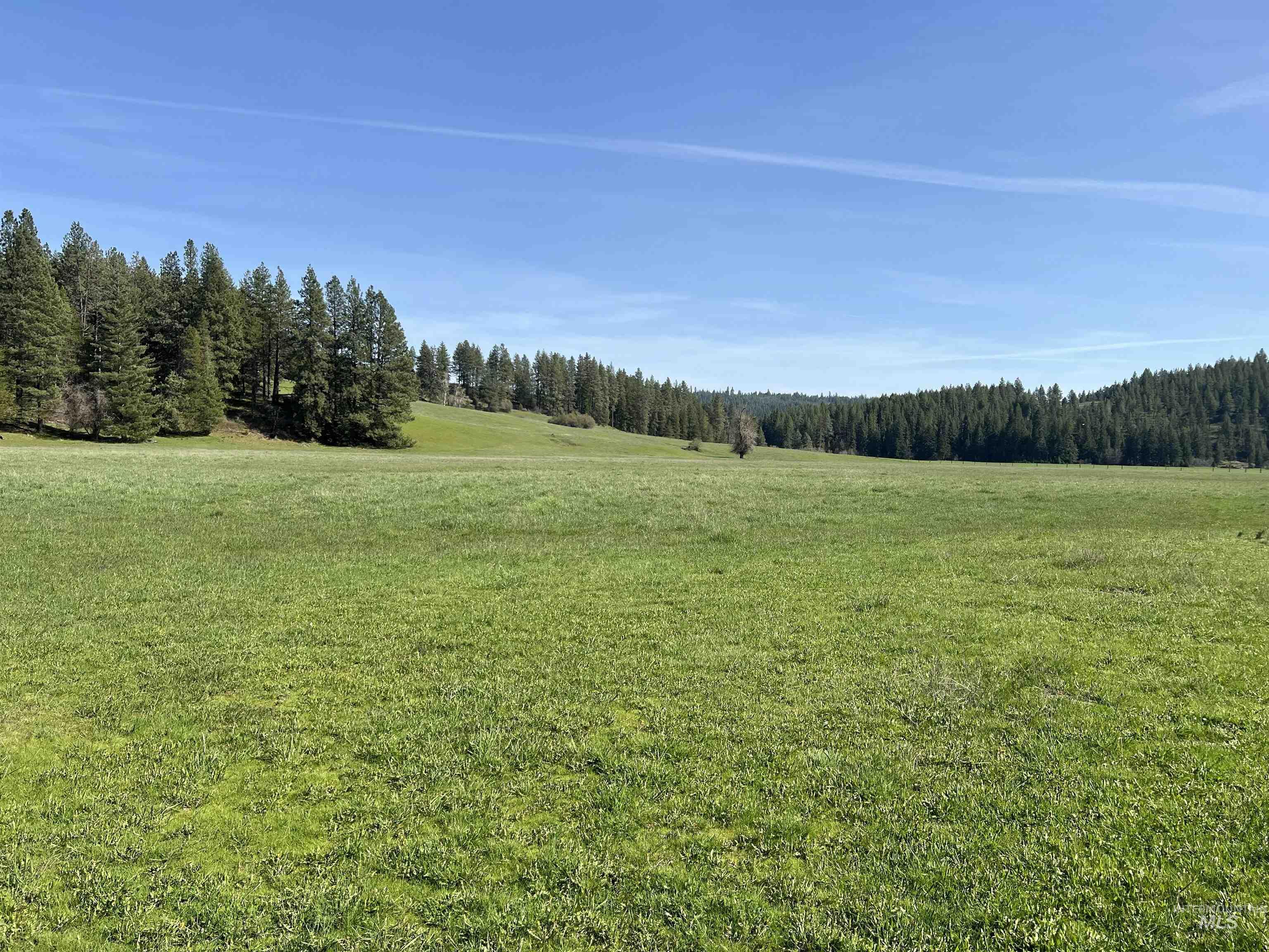 1462 Deep Creek Rd, Potlatch, Idaho 83855, Land For Sale, Price $549,000, 98983365