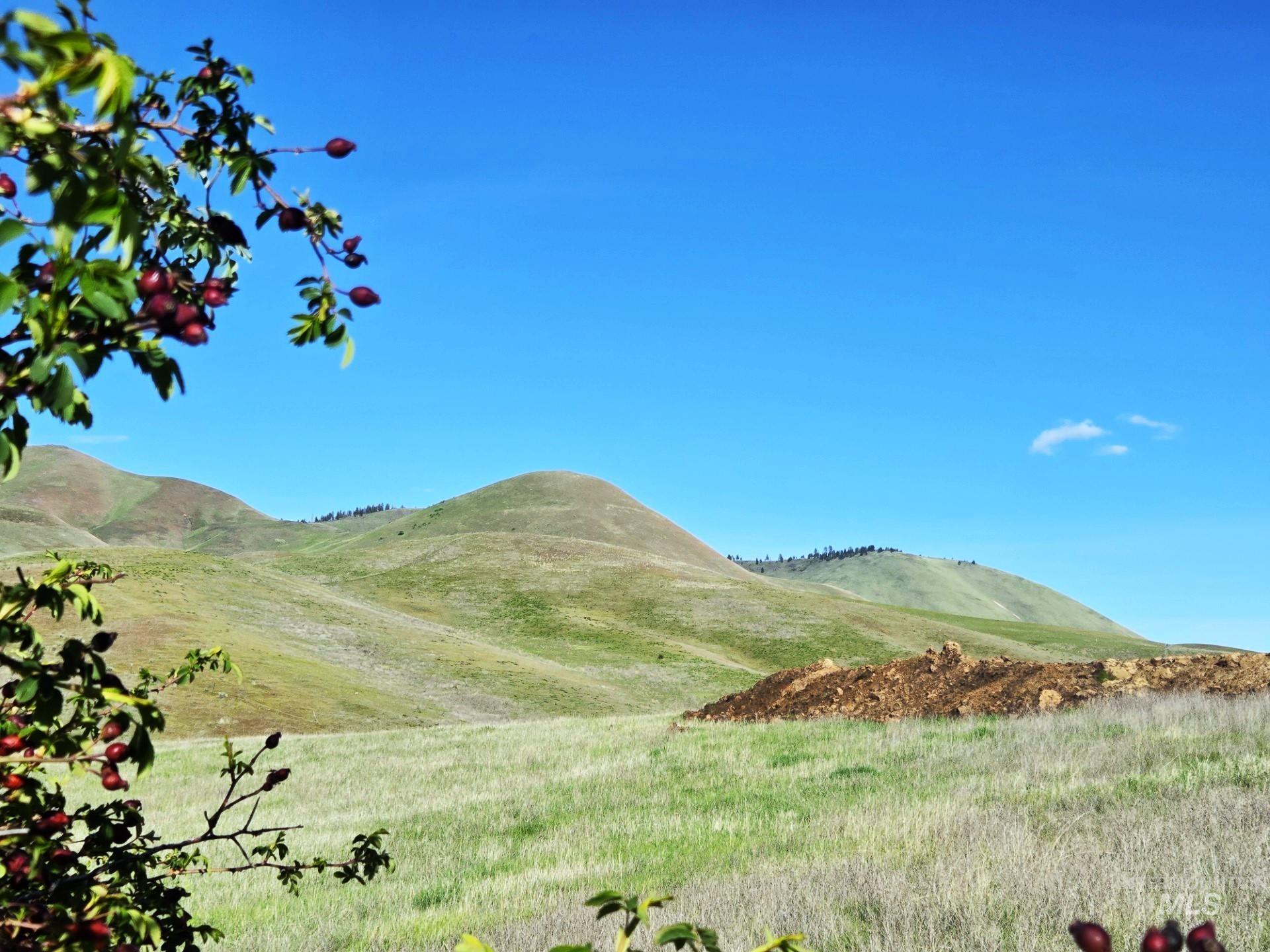 TBD Liberty Rd, Sweet, Idaho 83670, Land For Sale, Price $589,000, 98983389
