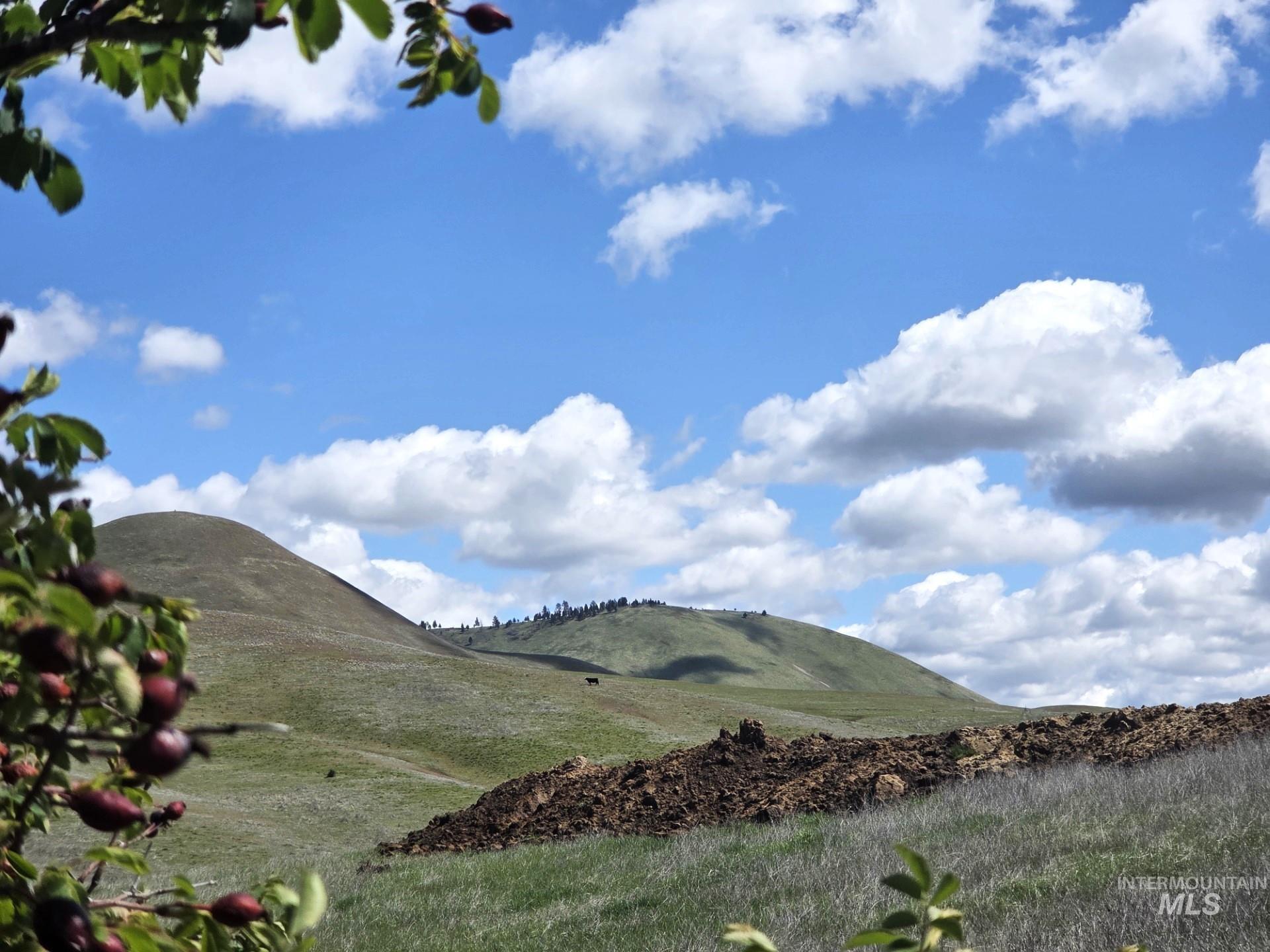 TBD Liberty Rd, Sweet, Idaho 83670, Land For Sale, Price $589,000, 98983389