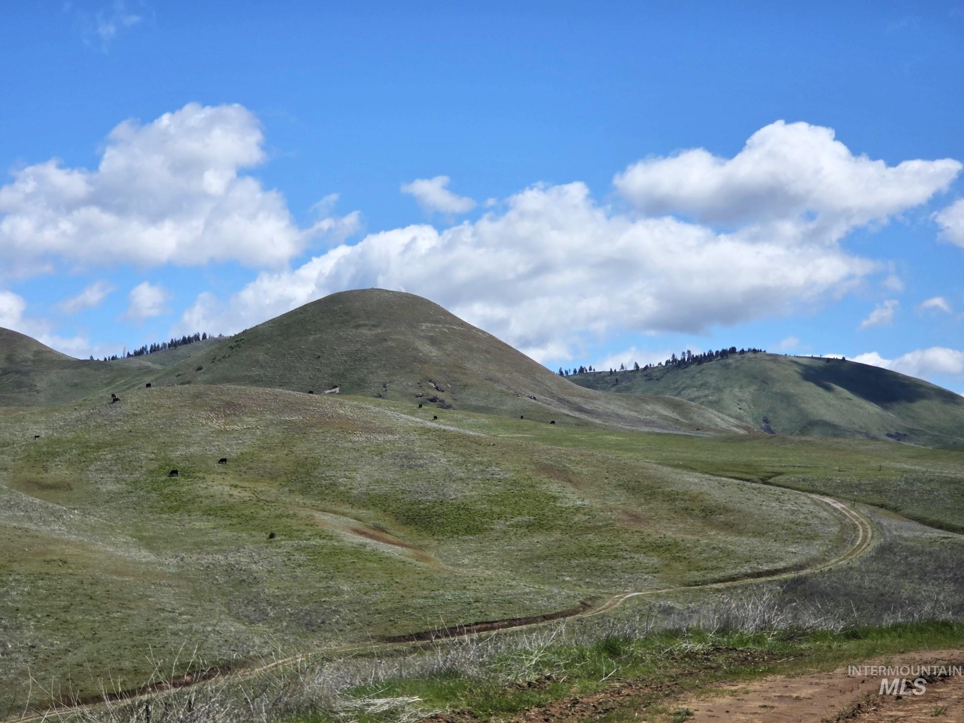 TBD Liberty Rd, Sweet, Idaho 83670, Land For Sale, Price $589,000, 98983389