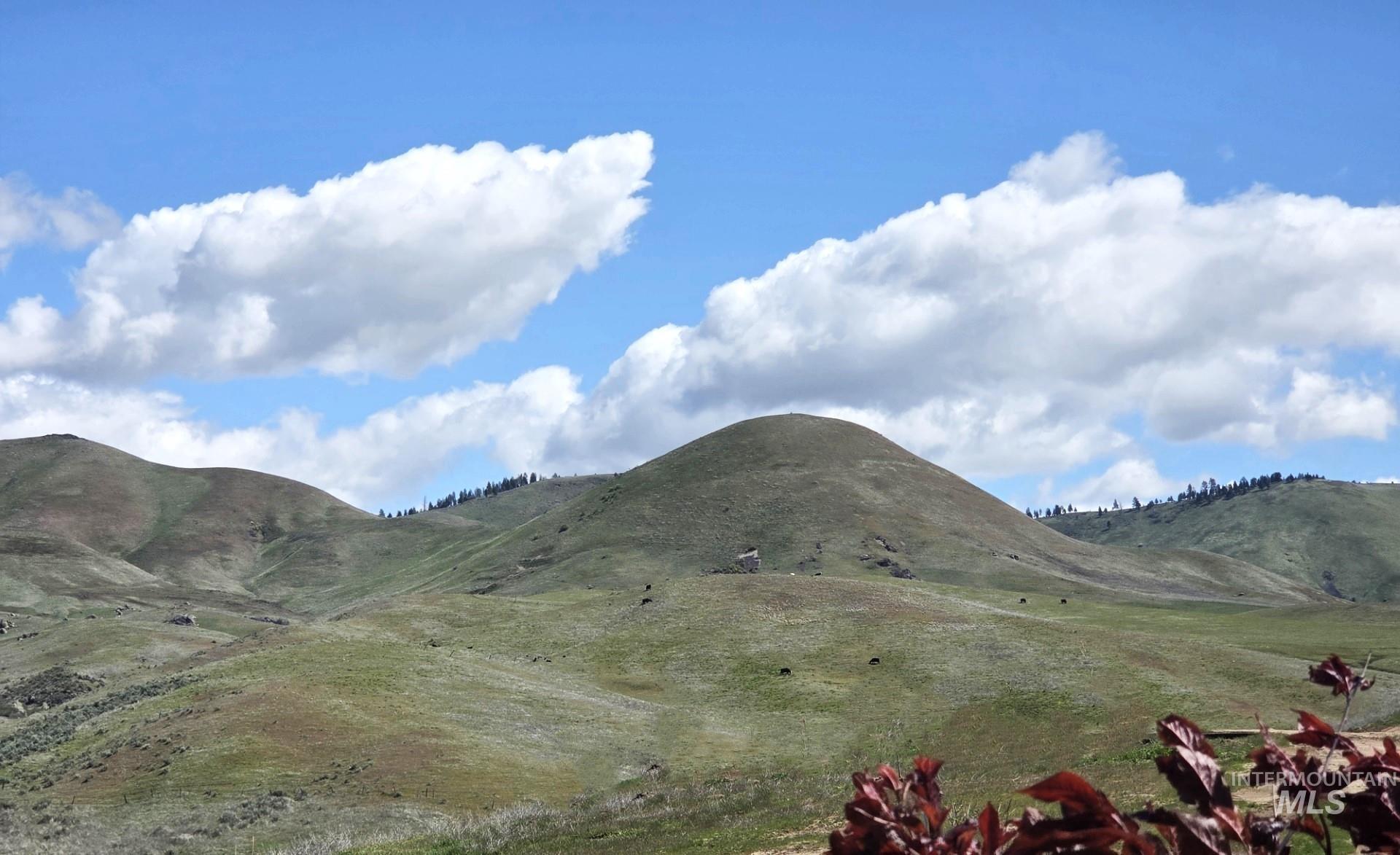 TBD Liberty Rd, Sweet, Idaho 83670, Land For Sale, Price $589,000, 98983389