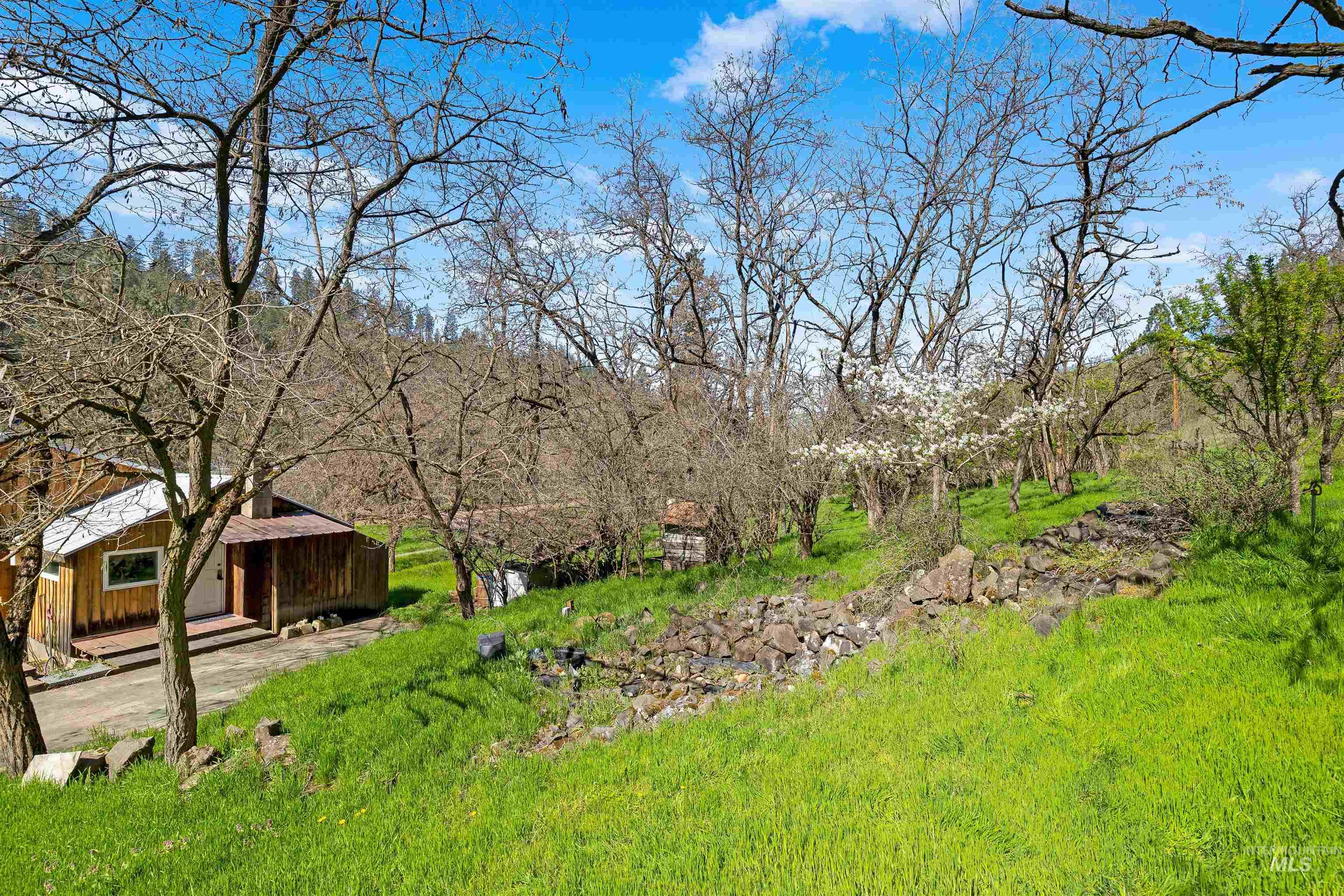 19437 Railroad Ave, Lenore, Idaho 83541, 1 Bedroom, 1 Bathroom, Residential For Sale, Price $299,000,MLS 98983391