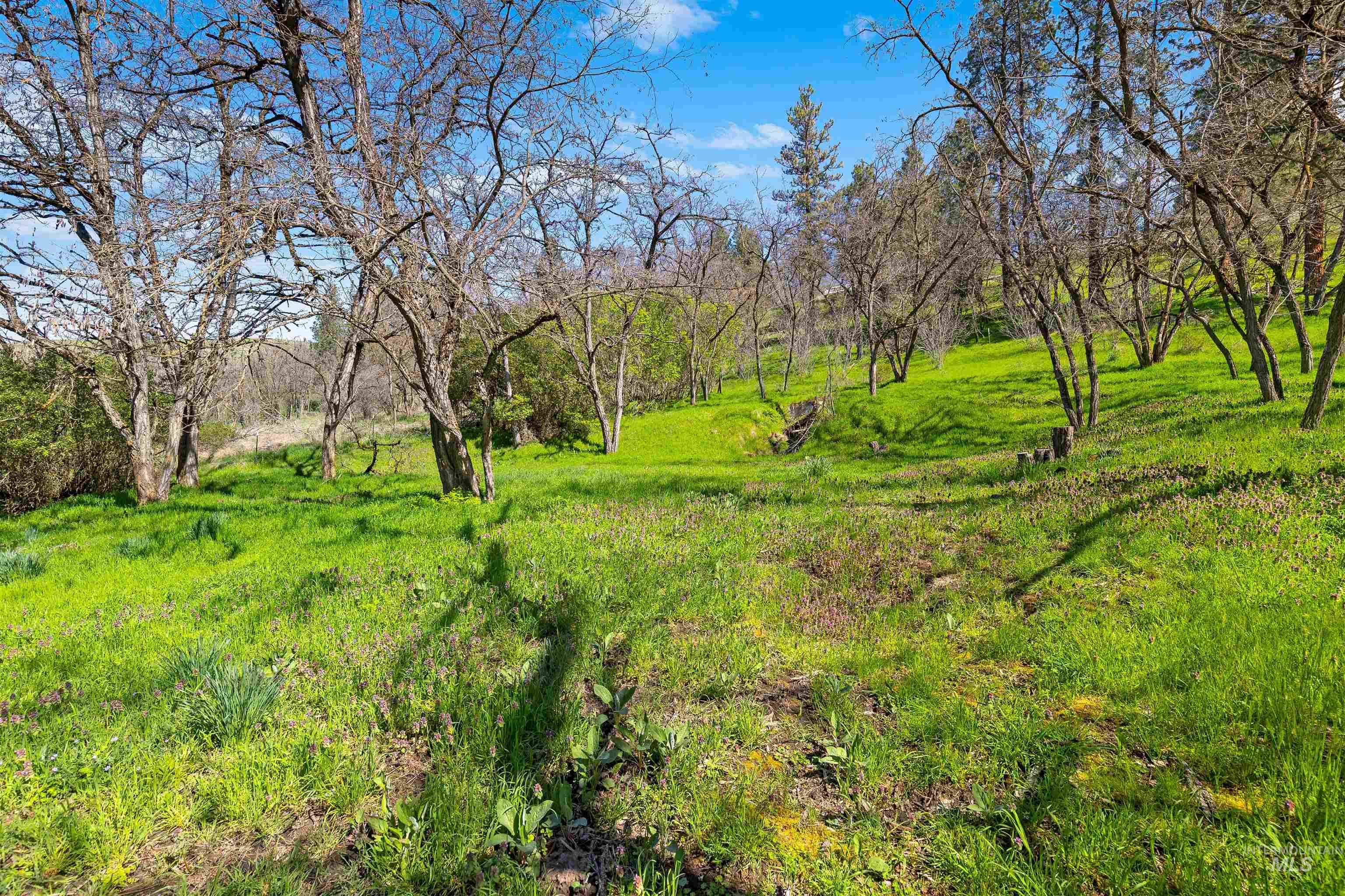 19437 Railroad Ave, Lenore, Idaho 83541, 1 Bedroom, 1 Bathroom, Residential For Sale, Price $225,000, 98983391