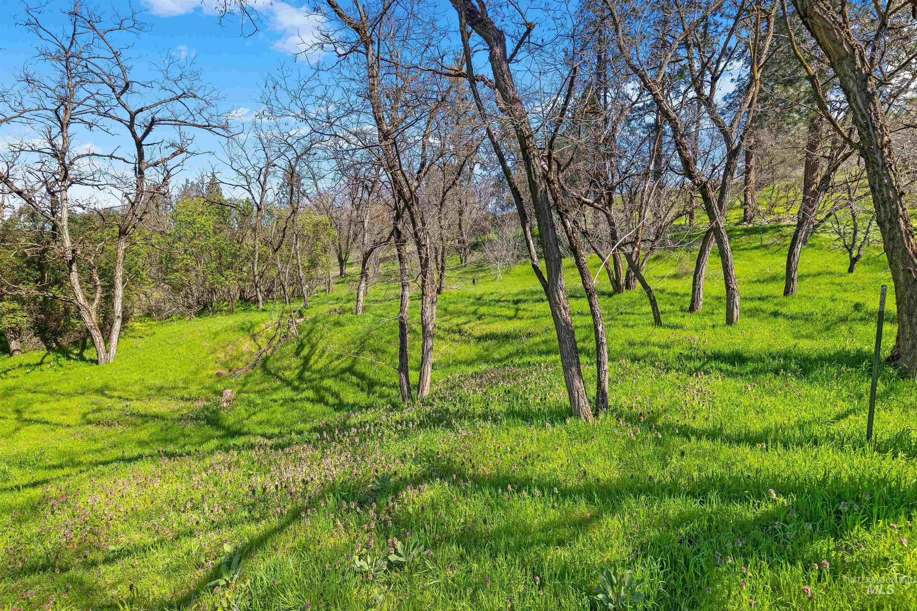 19437 Railroad Ave, Lenore, Idaho 83541, 1 Bedroom, 1 Bathroom, Residential For Sale, Price $299,000,MLS 98983391