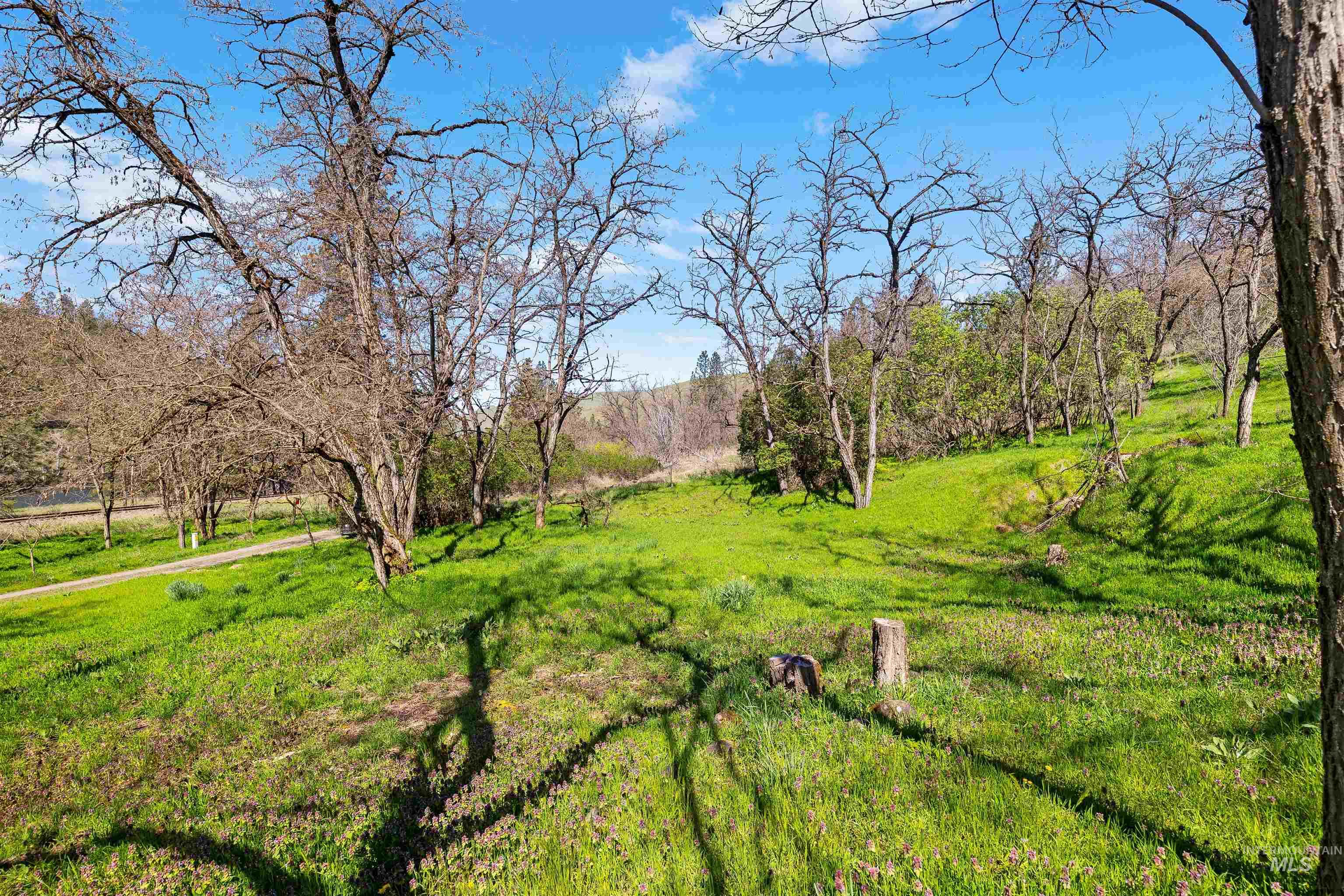 19437 Railroad Ave, Lenore, Idaho 83541, 1 Bedroom, 1 Bathroom, Residential For Sale, Price $299,000,MLS 98983391