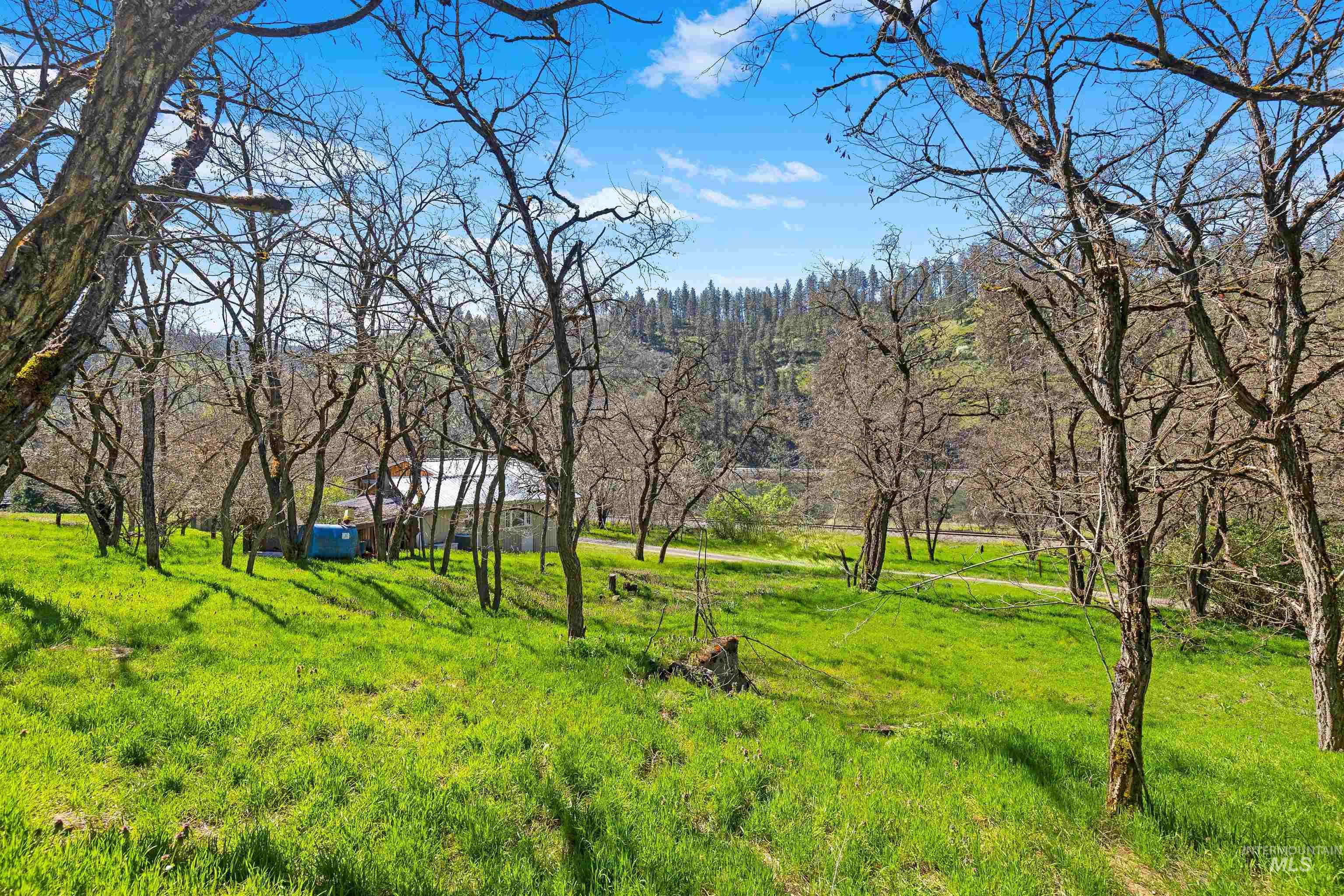 19437 Railroad Ave, Lenore, Idaho 83541, 1 Bedroom, 1 Bathroom, Residential For Sale, Price $225,000, 98983391