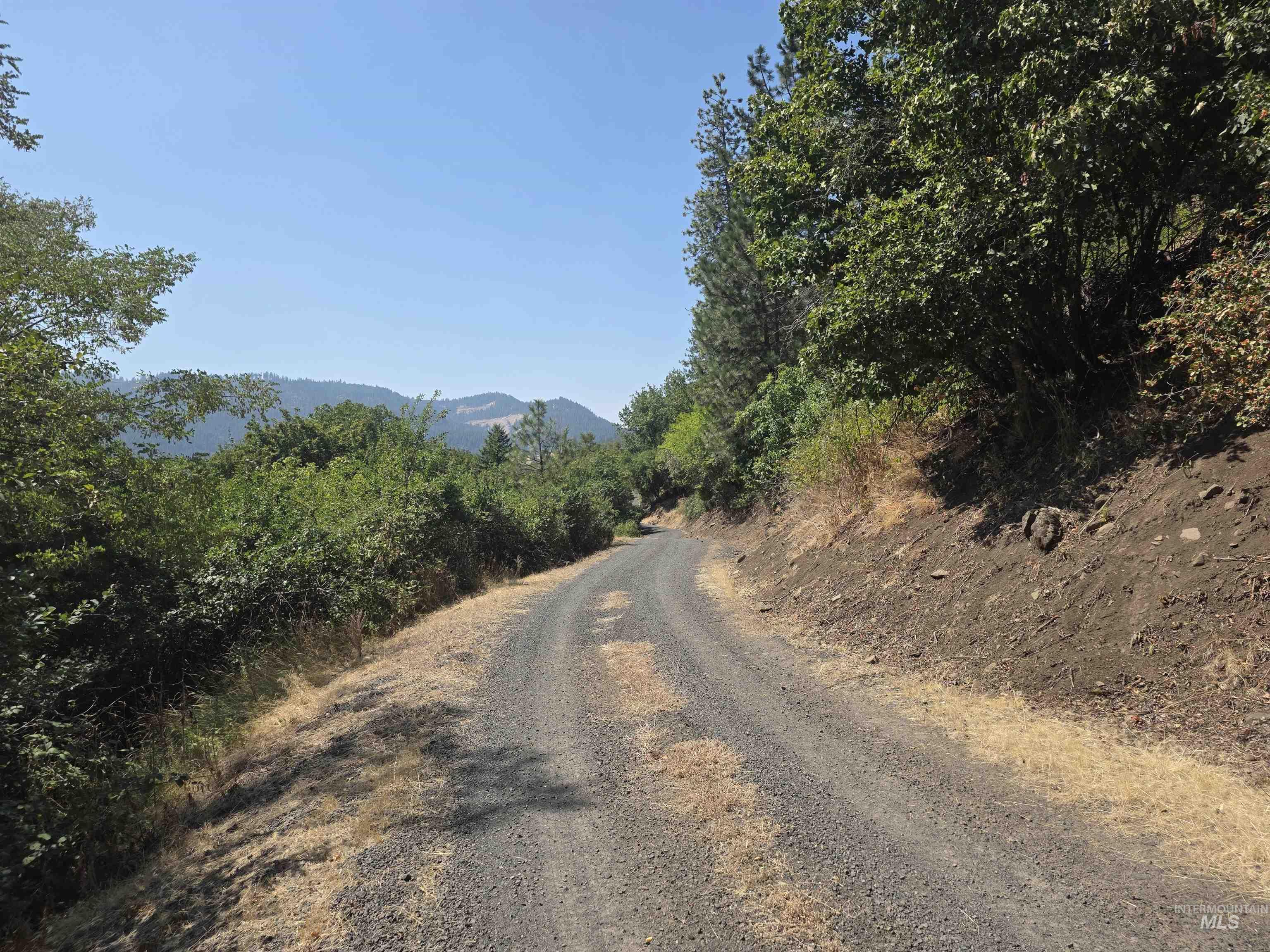 1780 Forsman Avenue, Orofino, Idaho 83544, 3 Bedrooms, 2 Bathrooms, Residential For Sale, Price $225,000,MLS 98983449