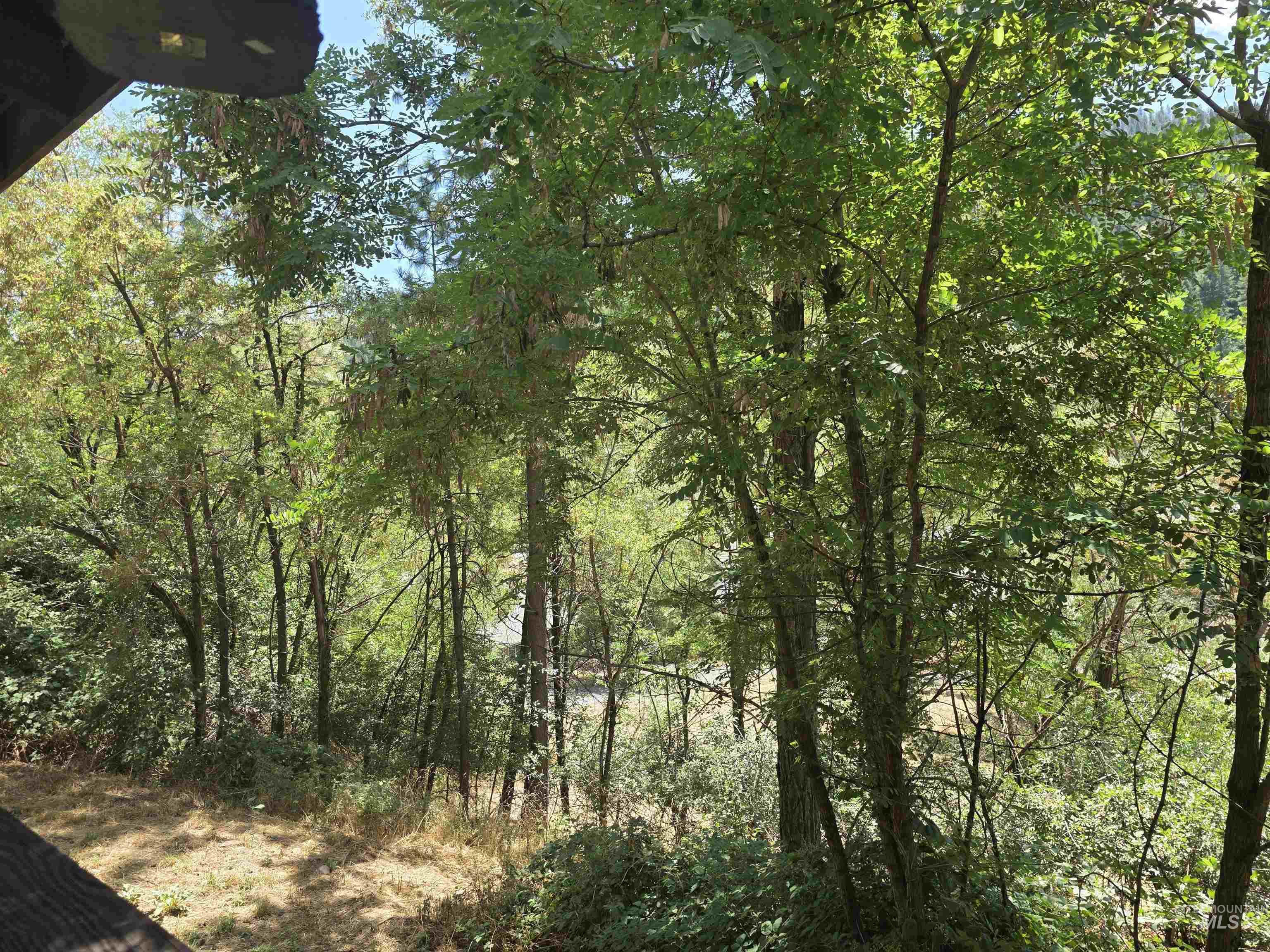 1780 Forsman Avenue, Orofino, Idaho 83544, 3 Bedrooms, 2 Bathrooms, Residential For Sale, Price $225,000,MLS 98983449