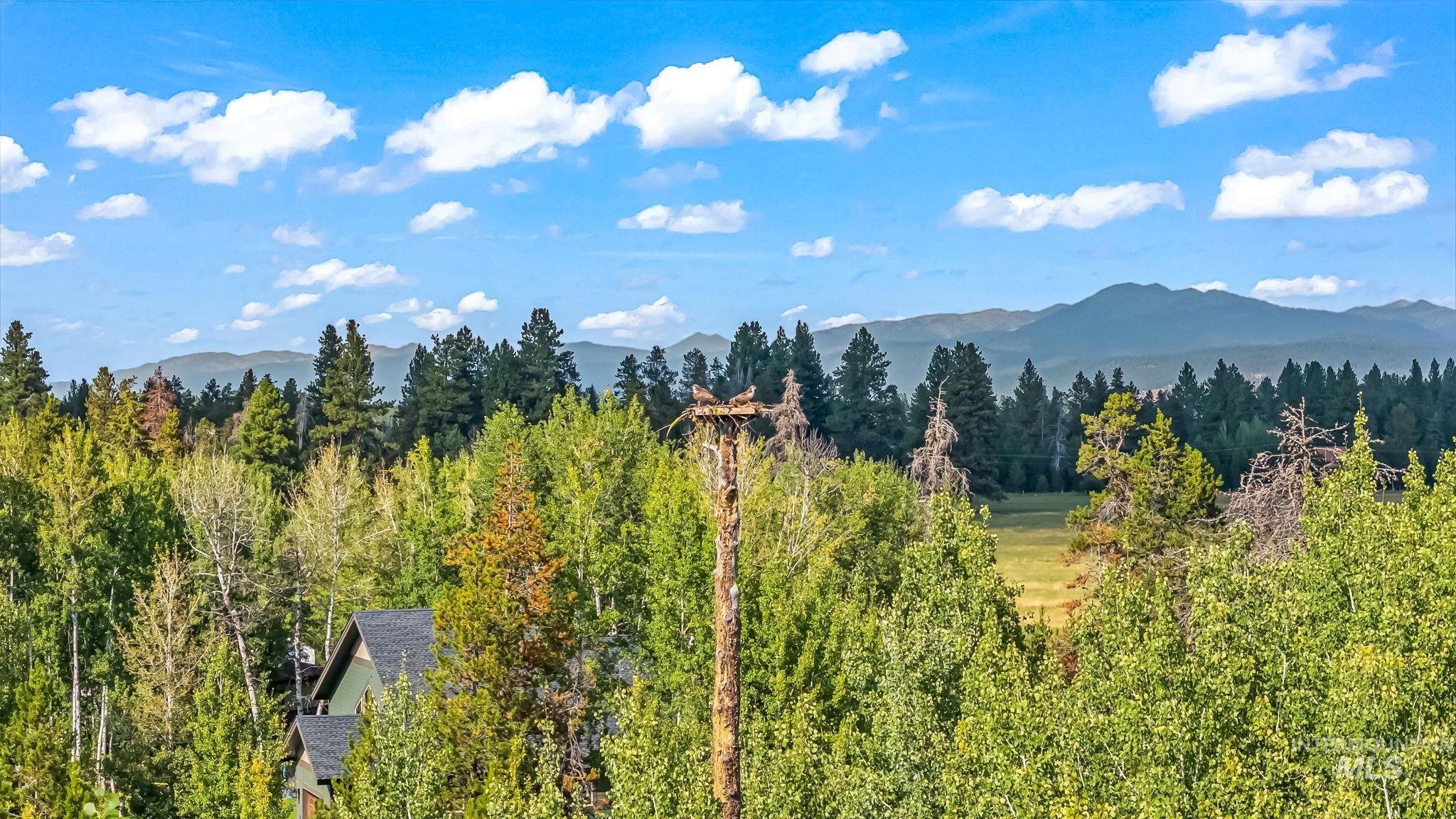 22 Windsong Place, Donnelly, Idaho 83615-0000, 3 Bedrooms, 2 Bathrooms, Residential For Sale, Price $798,900, 98983472