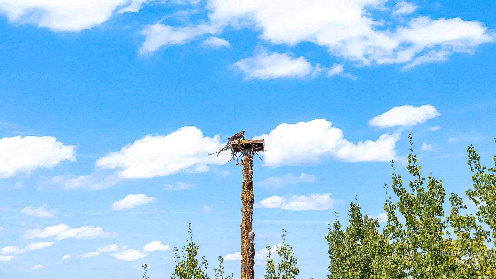 22 Windsong Place, Donnelly, Idaho 83615-0000, 3 Bedrooms, 2 Bathrooms, Residential For Sale, Price $798,900, 98983472