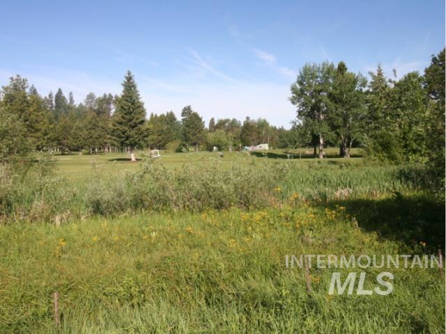 144 Brundage View Ct, McCall, Idaho 83638, Land For Sale, Price $279,900,MLS 98983501