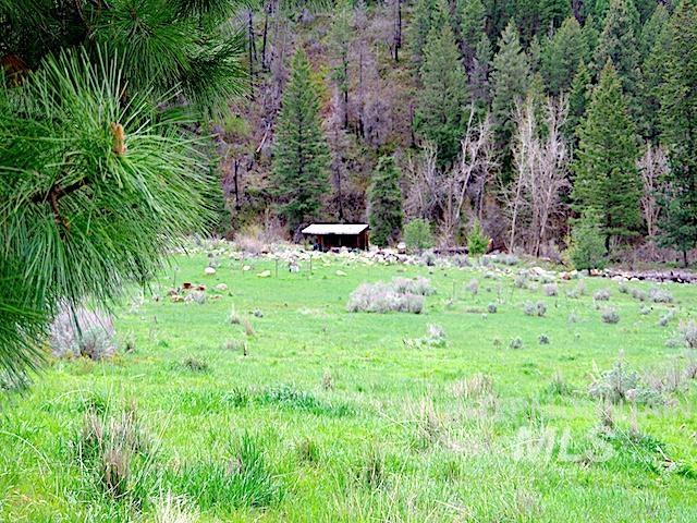 2264 Private Road 1, Cambridge, Idaho 83672, Land For Sale, Price $299,000, 98983506