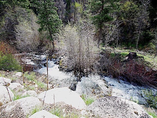 2264 Private Road 1, Cambridge, Idaho 83672, Land For Sale, Price $299,000, 98983506