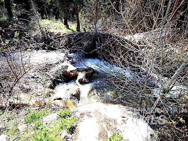 2264 Private Road 1, Cambridge, Idaho 83672, Land For Sale, Price $299,000, 98983506