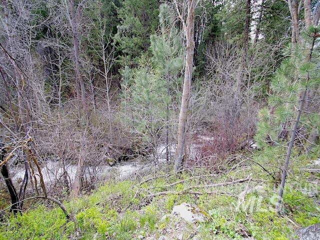 2264 Private Road 1, Cambridge, Idaho 83672, Land For Sale, Price $299,000, 98983506