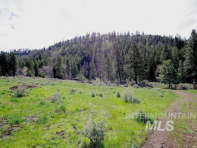 2264 Private Road 1, Cambridge, Idaho 83672, Land For Sale, Price $299,000, 98983506
