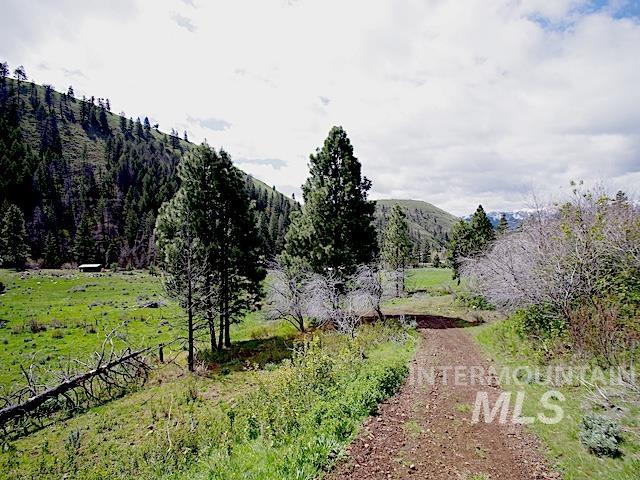 2264 Private Road 1, Cambridge, Idaho 83672, Land For Sale, Price $299,000, 98983506