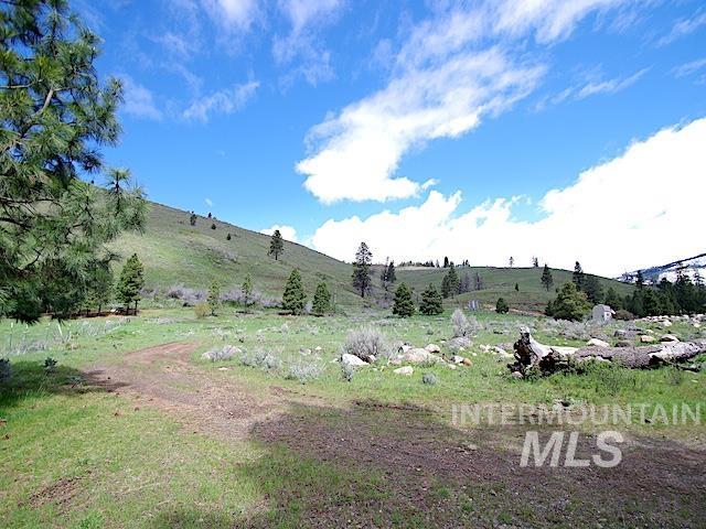 2264 Private Road 1, Cambridge, Idaho 83672, Land For Sale, Price $299,000, 98983506