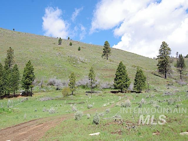 2264 Private Road 1, Cambridge, Idaho 83672, Land For Sale, Price $299,000, 98983506
