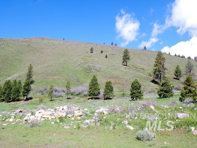 2264 Private Road 1, Cambridge, Idaho 83672, Land For Sale, Price $299,000, 98983506