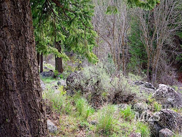2264 Private Road 1, Cambridge, Idaho 83672, Land For Sale, Price $299,000, 98983506