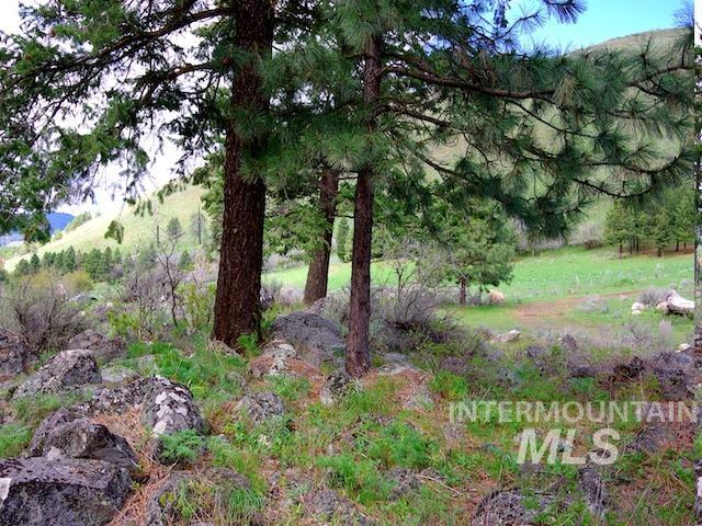 2264 Private Road 1, Cambridge, Idaho 83672, Land For Sale, Price $299,000, 98983506