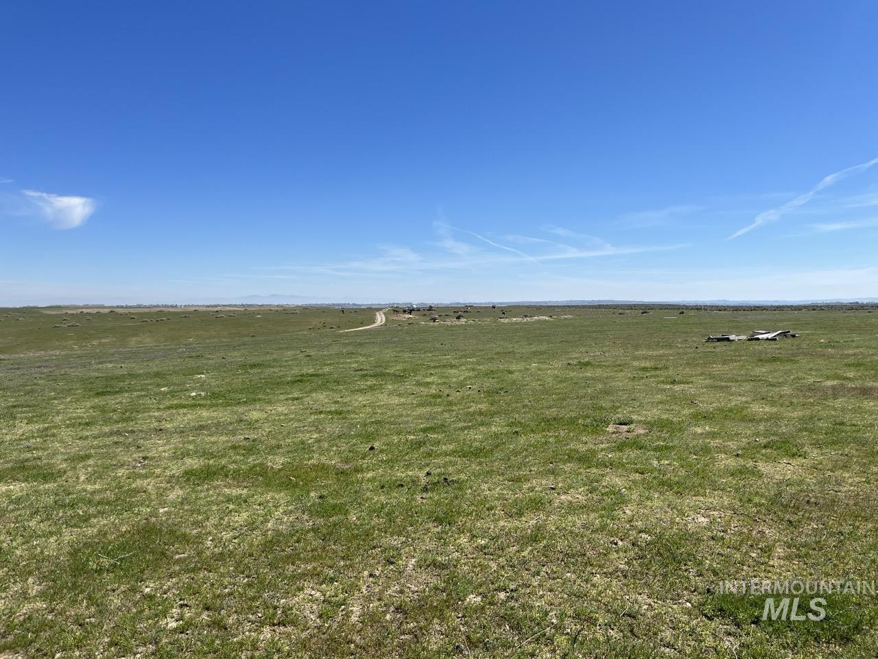 1576 N Stateline Rd, Homedale, Idaho 83628, 3 Bedrooms, 2 Bathrooms, Farm & Ranch For Sale, Price $1,900,000, 98983512