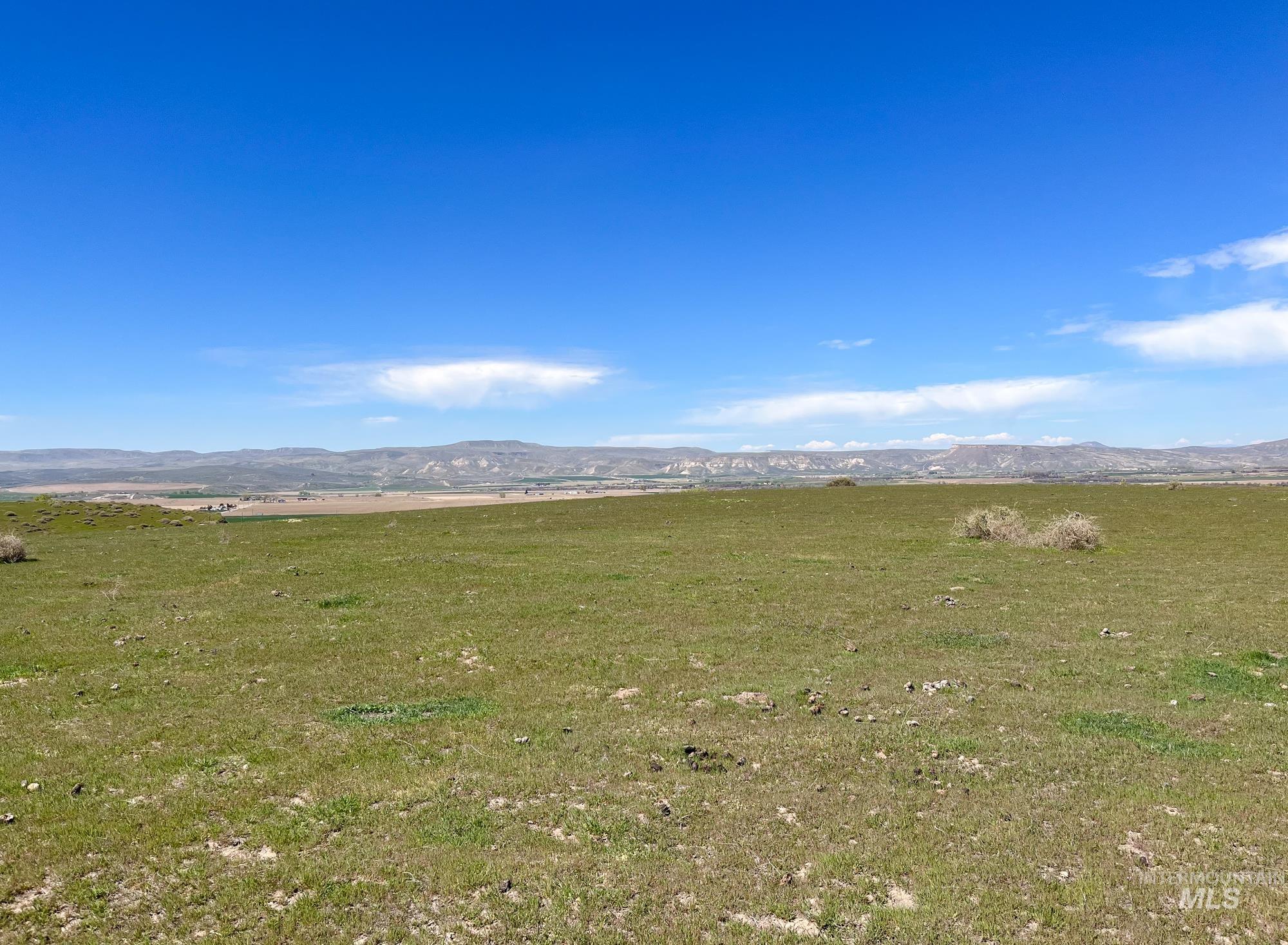 1576 N Stateline Rd, Homedale, Idaho 83628, 3 Bedrooms, 2 Bathrooms, Farm & Ranch For Sale, Price $1,900,000, 98983512