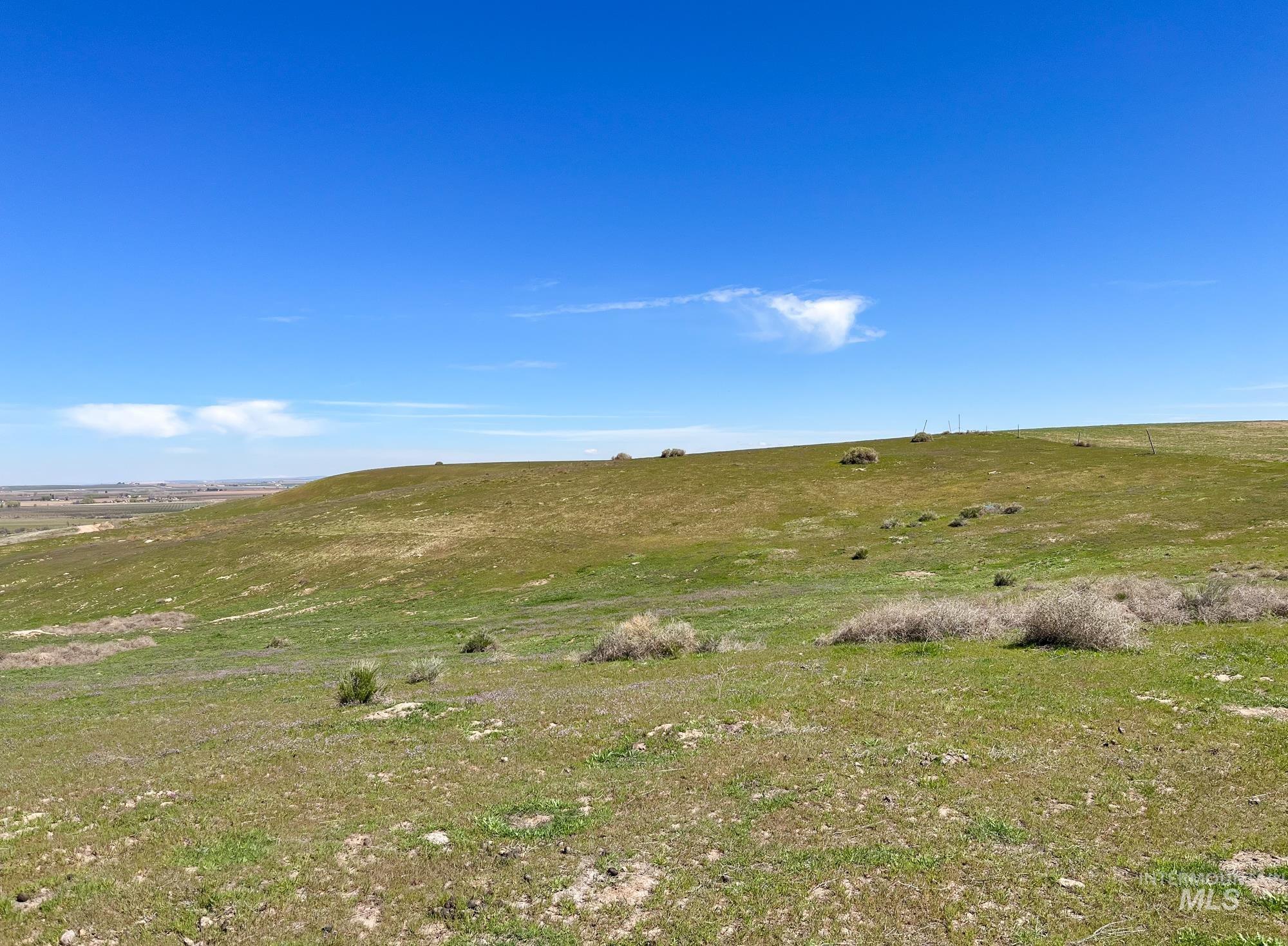 1576 N Stateline Rd, Homedale, Idaho 83628, 3 Bedrooms, 2 Bathrooms, Farm & Ranch For Sale, Price $1,900,000, 98983512