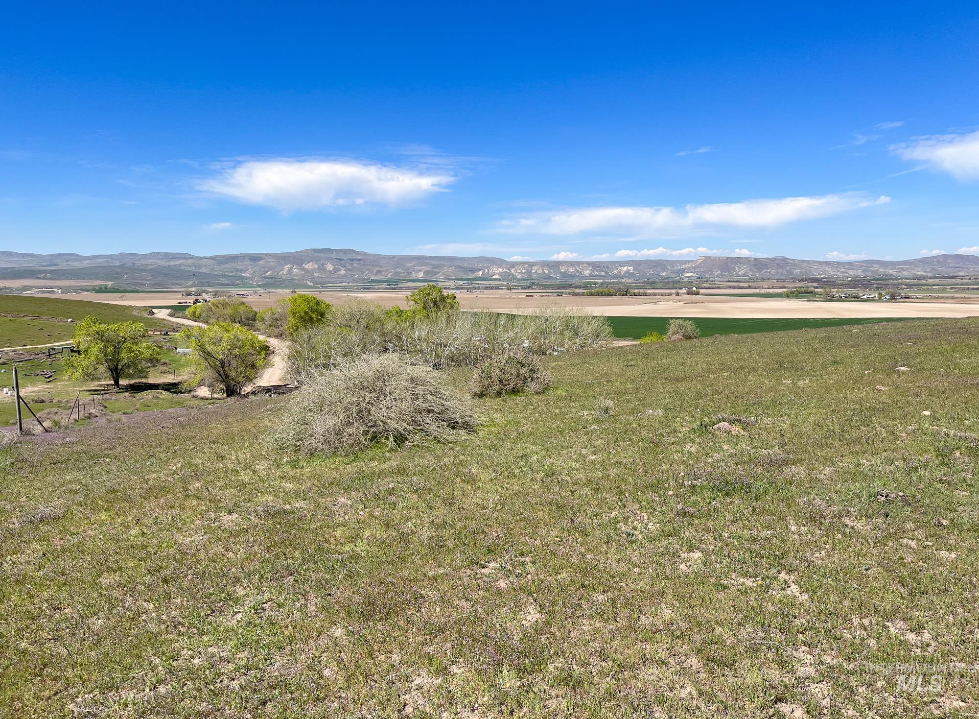 1576 N Stateline Rd, Homedale, Idaho 83628, 3 Bedrooms, 2 Bathrooms, Farm & Ranch For Sale, Price $1,900,000, 98983512