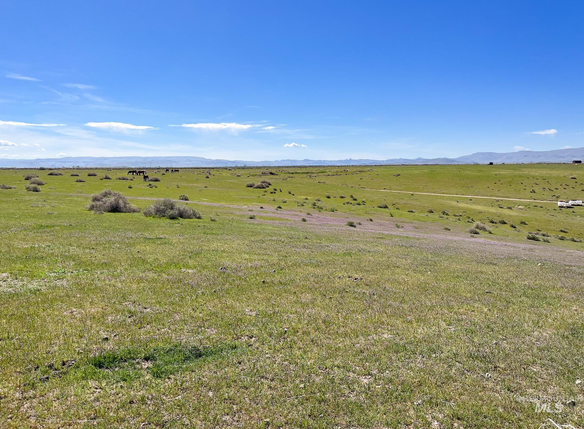 1576 N Stateline Rd, Homedale, Idaho 83628, 3 Bedrooms, 2 Bathrooms, Farm & Ranch For Sale, Price $1,900,000, 98983512