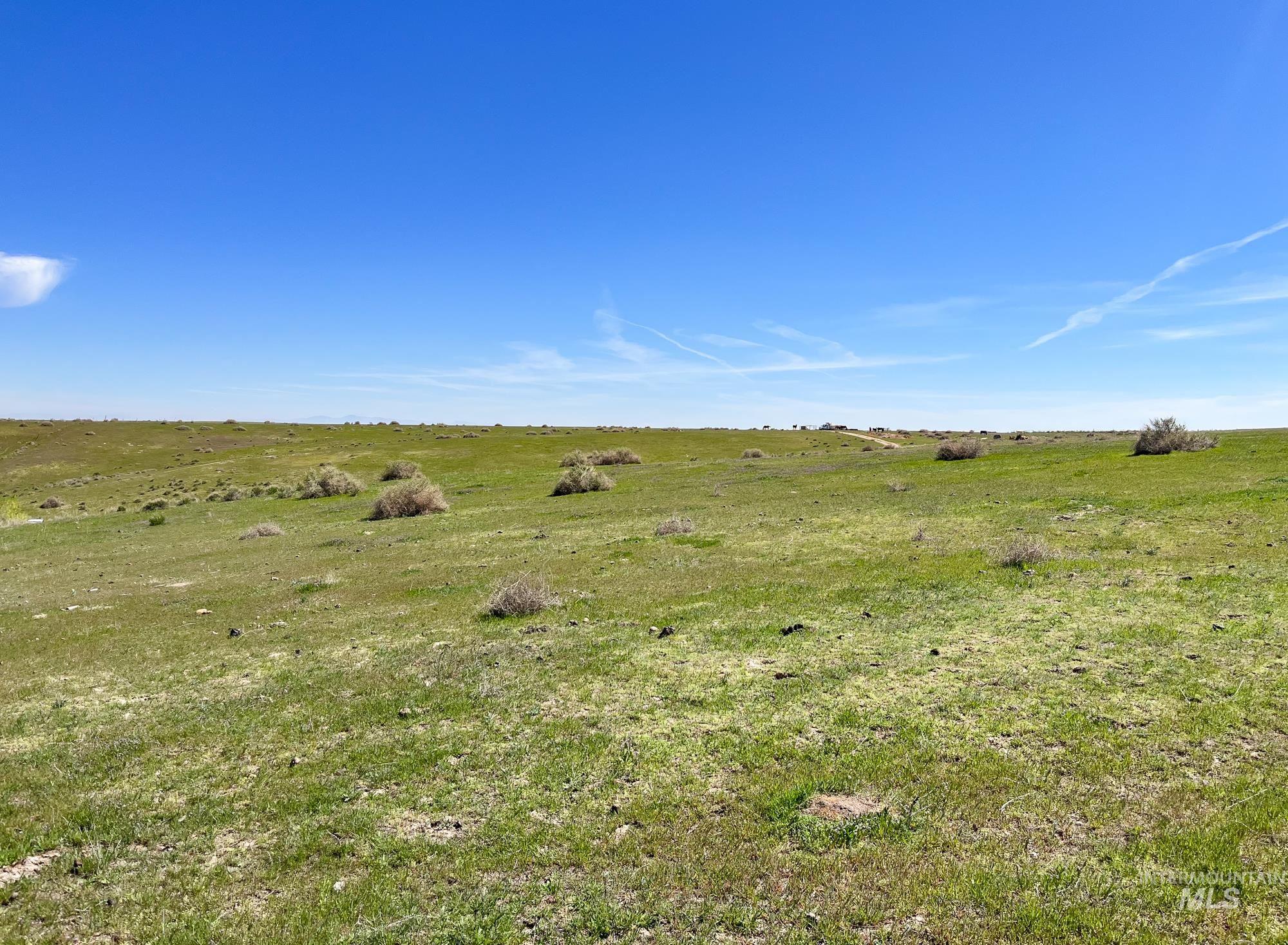 1576 N Stateline Rd, Homedale, Idaho 83628, 3 Bedrooms, 2 Bathrooms, Farm & Ranch For Sale, Price $1,900,000, 98983512