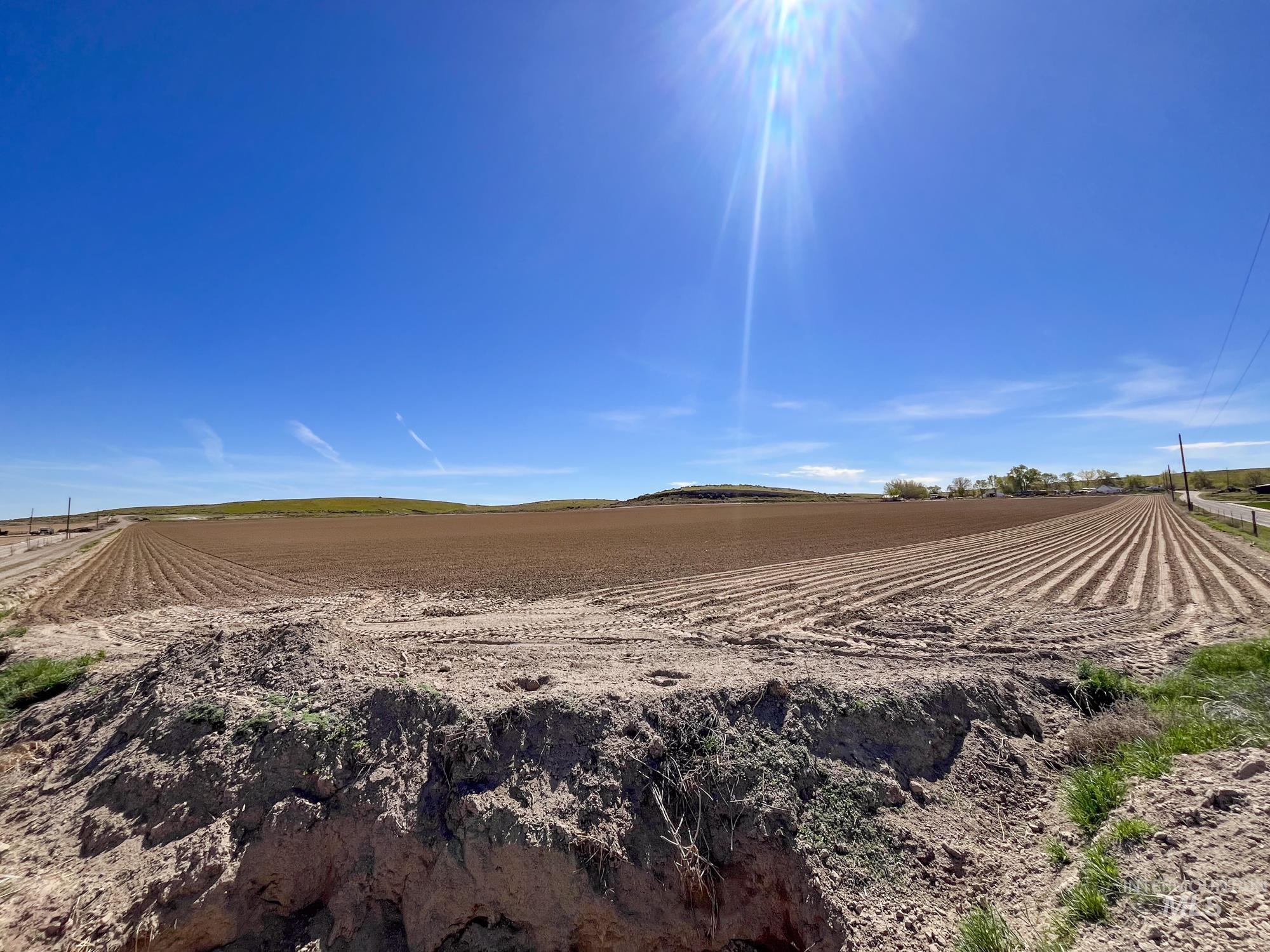 1576 N Stateline Rd, Homedale, Idaho 83628, 3 Bedrooms, 2 Bathrooms, Farm & Ranch For Sale, Price $1,900,000, 98983512