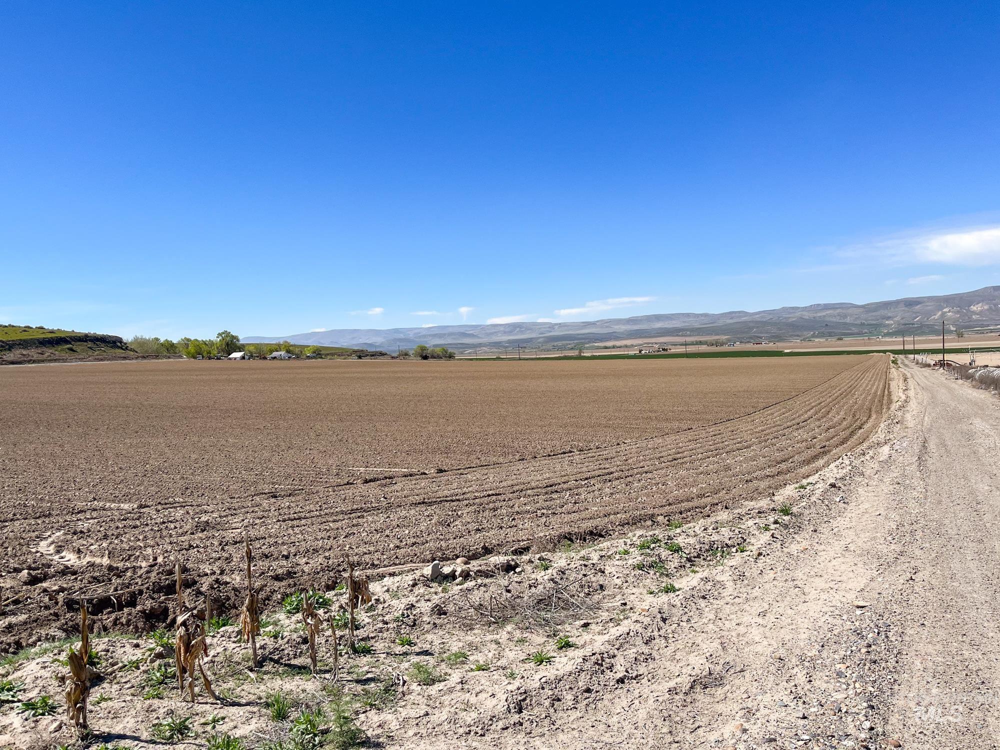 1576 N Stateline Rd, Homedale, Idaho 83628, 3 Bedrooms, 2 Bathrooms, Farm & Ranch For Sale, Price $1,900,000, 98983512