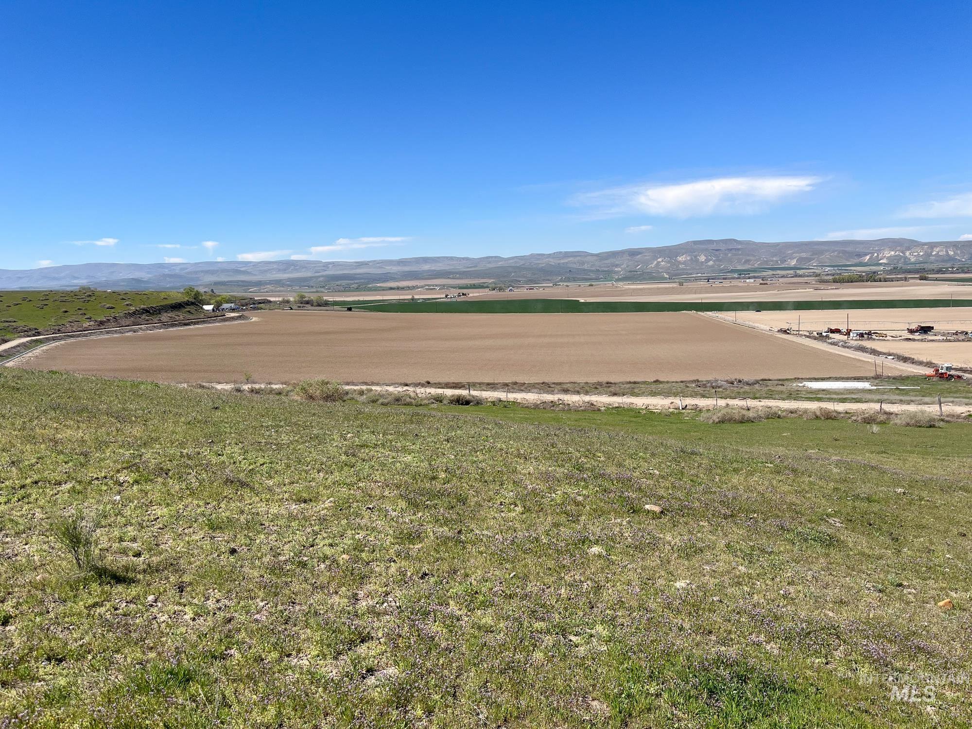 1576 N Stateline Rd, Homedale, Idaho 83628, 3 Bedrooms, 2 Bathrooms, Farm & Ranch For Sale, Price $1,900,000, 98983512