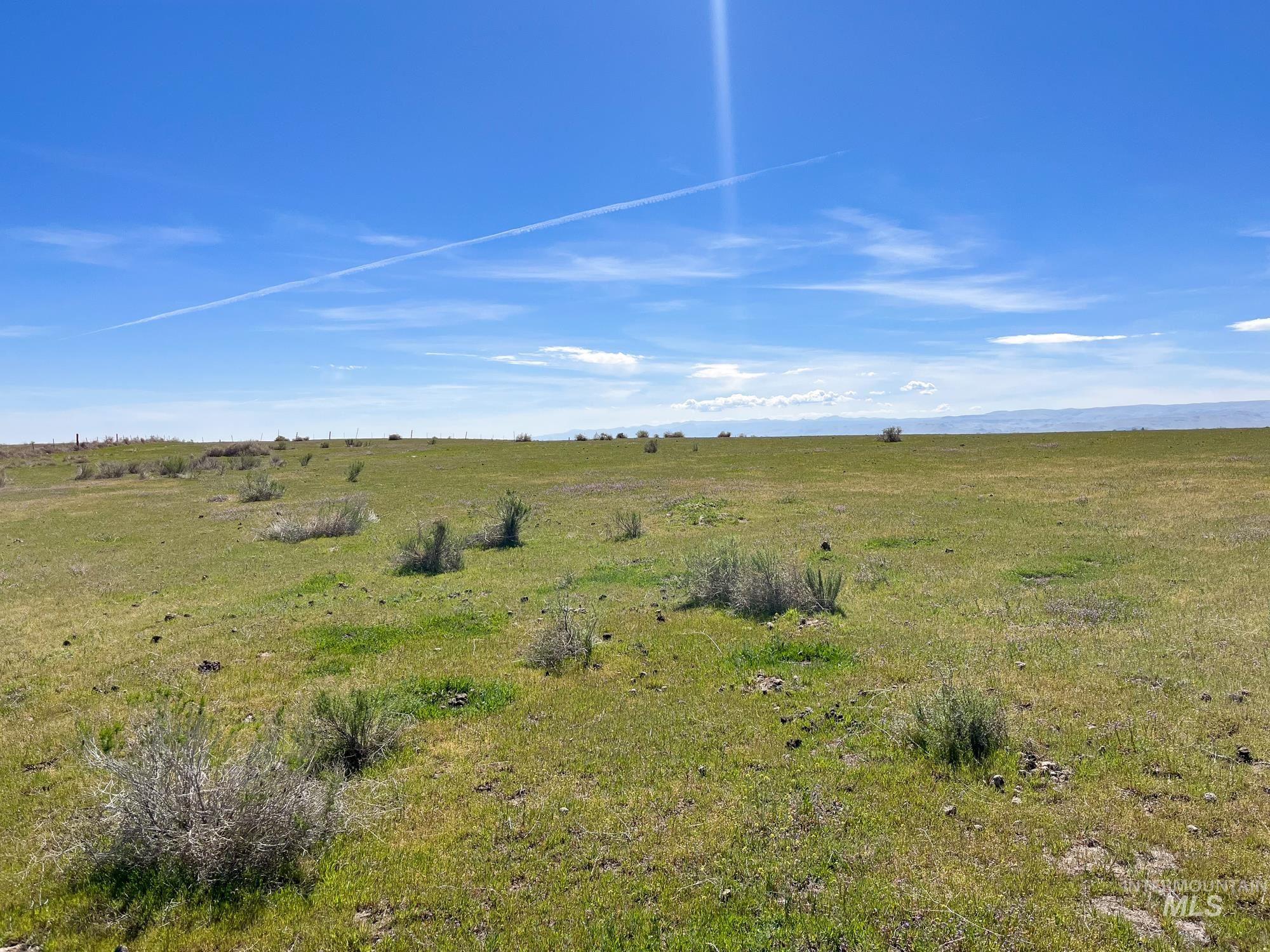 1576 N Stateline Rd, Homedale, Idaho 83628, 3 Bedrooms, 2 Bathrooms, Farm & Ranch For Sale, Price $1,900,000, 98983512