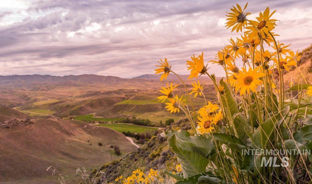 11071 N Elk Ridge Way, Boise, Idaho 83714, 3 Bedrooms, 2.5 Bathrooms, Residential For Sale, Price $1,650,000, 98983557