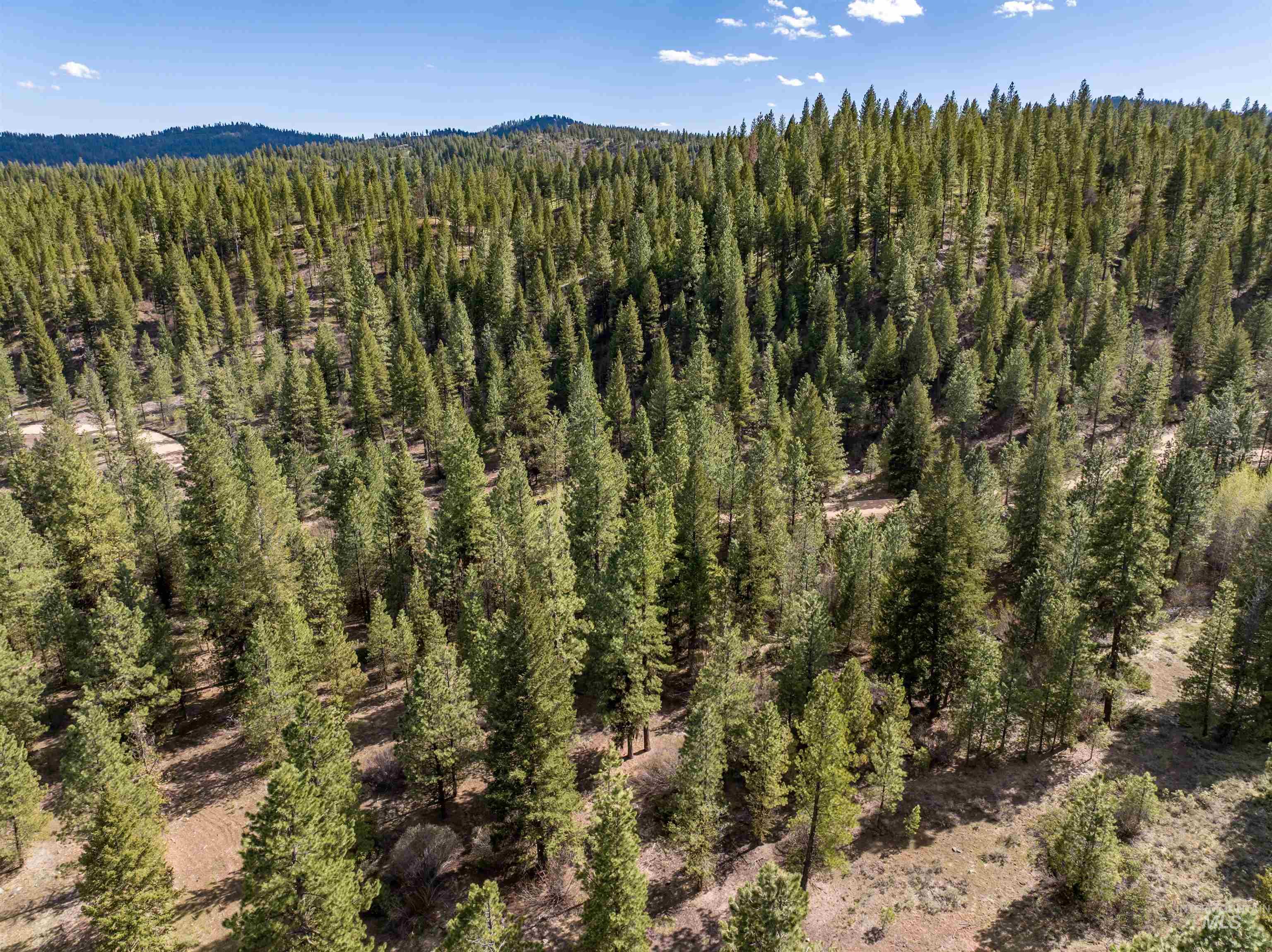 Lot 12 Star Creek Ct, Placerville, Idaho 83636-6, Land For Sale, Price $225,000,MLS 98983596