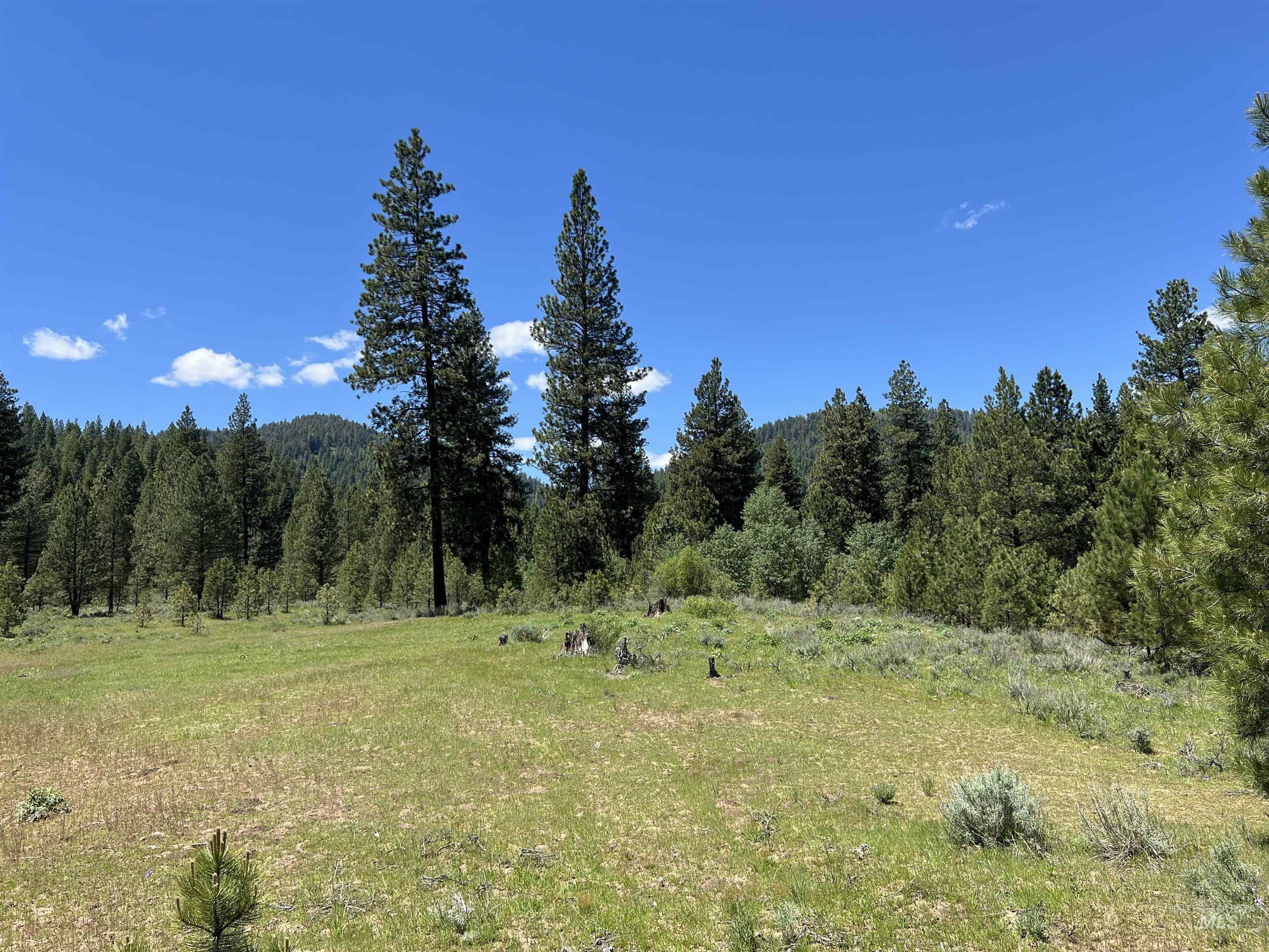 Lot 12 Star Creek Ct, Placerville, Idaho 83636-6, Land For Sale, Price $225,000,MLS 98983596