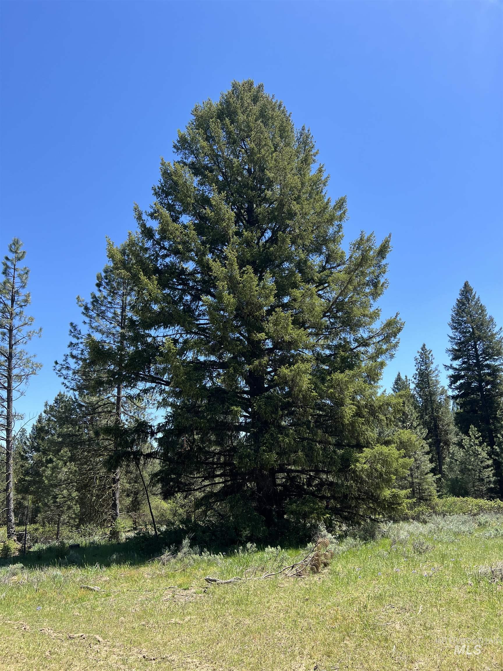 Lot 12 Star Creek Ct, Placerville, Idaho 83636-6, Land For Sale, Price $225,000,MLS 98983596