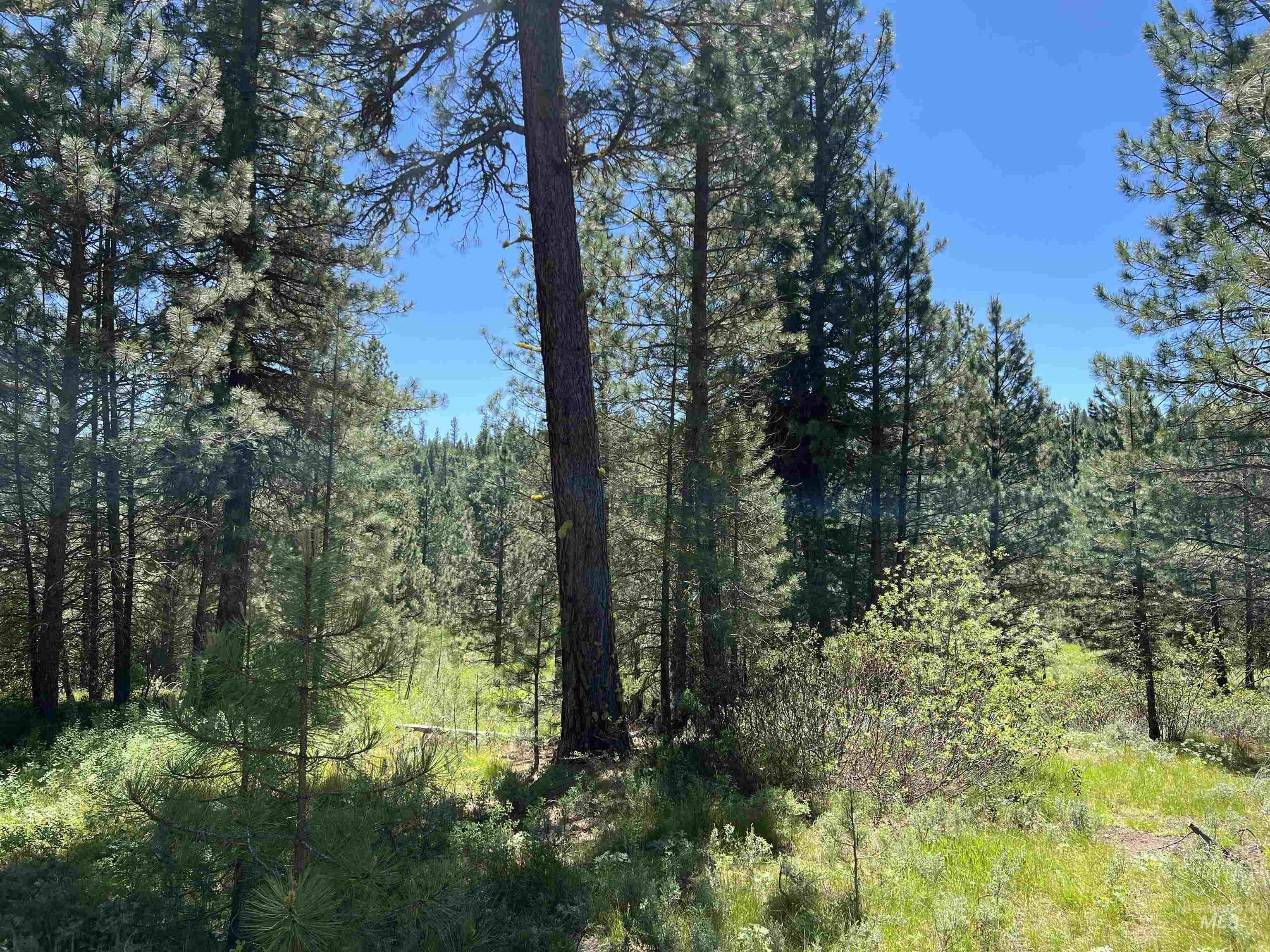 Lot 12 Star Creek Ct, Placerville, Idaho 83636-6, Land For Sale, Price $225,000,MLS 98983596