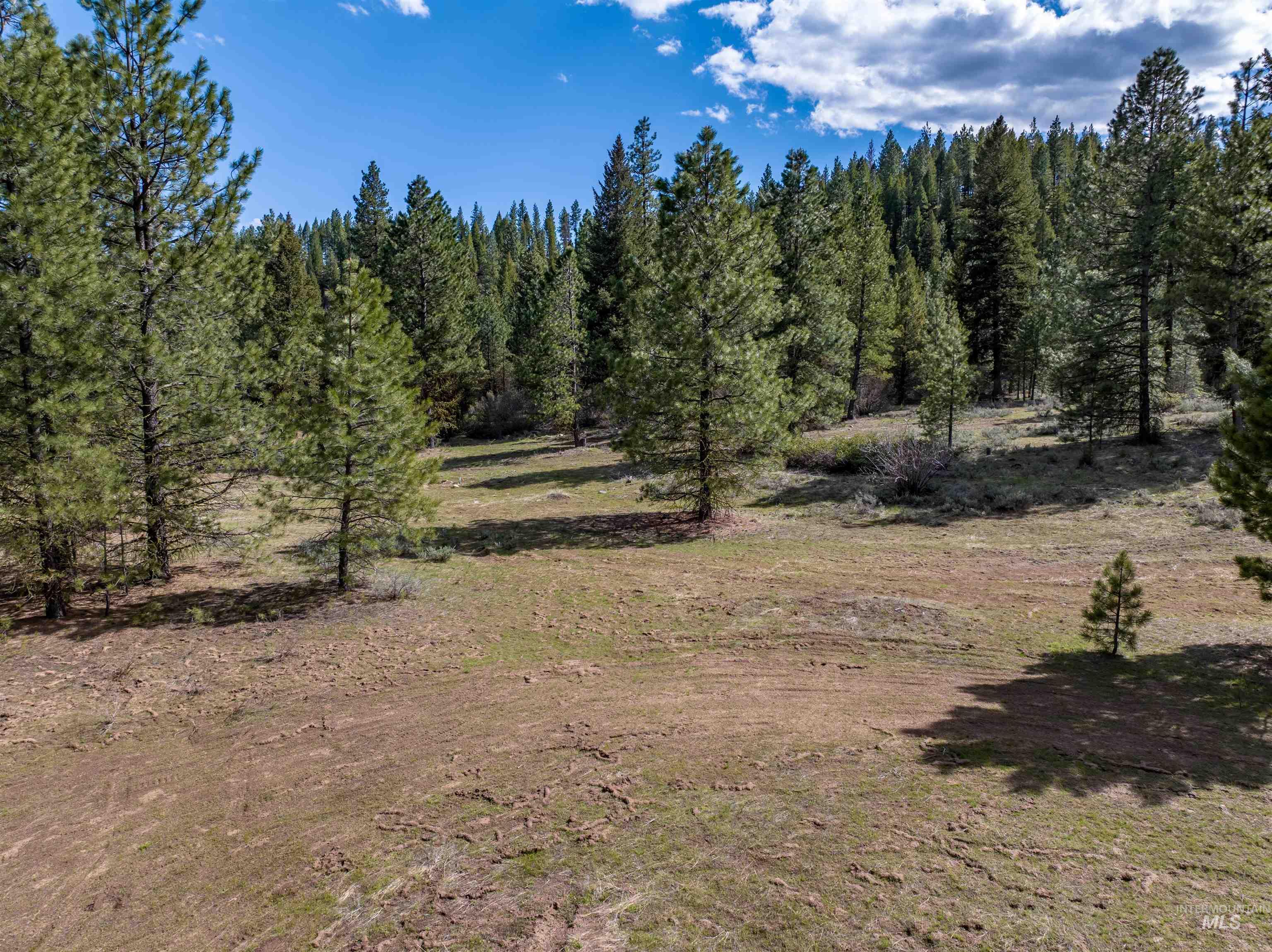 Lot 12 Star Creek Ct, Placerville, Idaho 83636-6, Land For Sale, Price $225,000,MLS 98983596