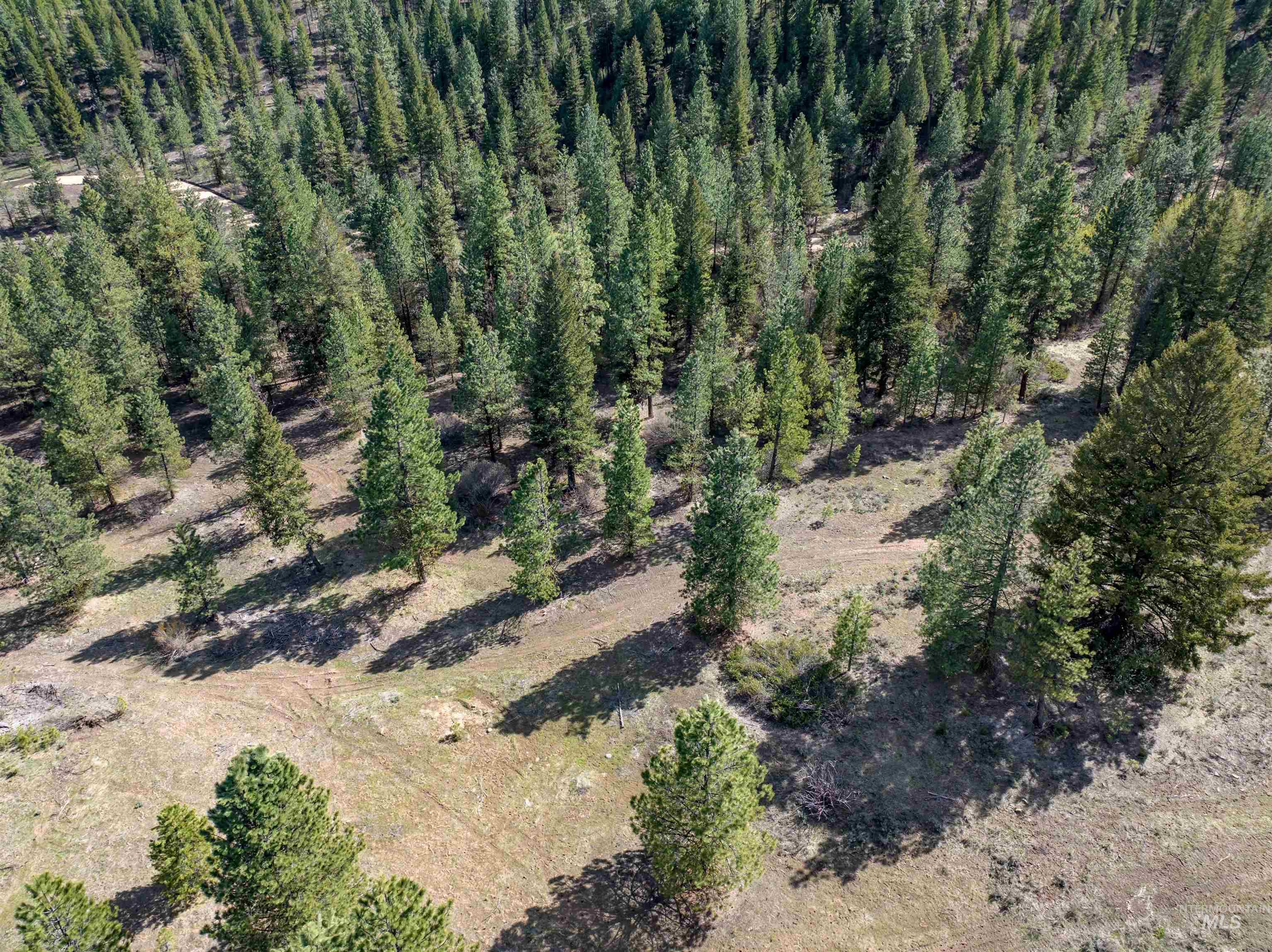 Lot 12 Star Creek Ct, Placerville, Idaho 83636-6, Land For Sale, Price $225,000,MLS 98983596