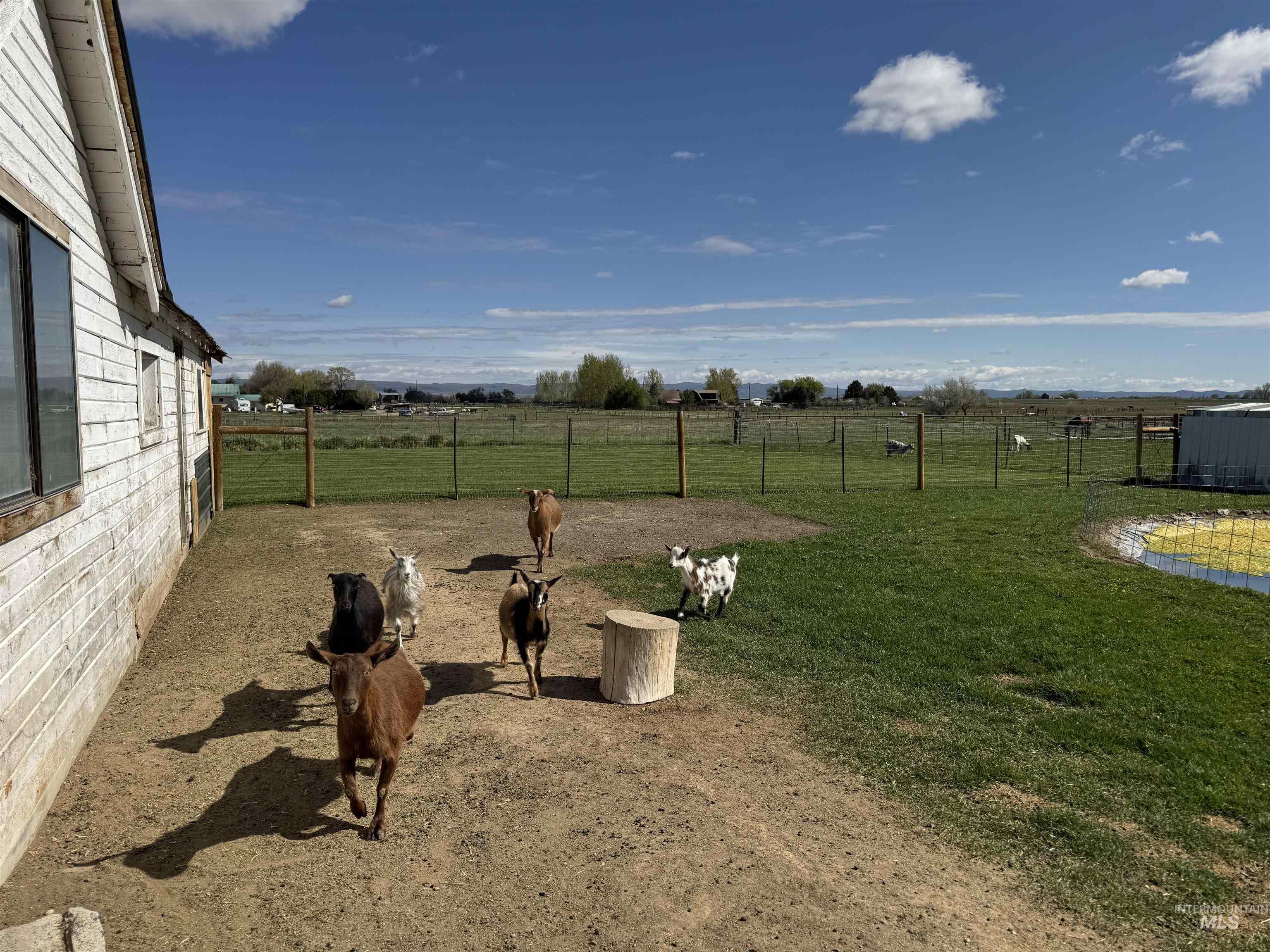 1698 State Hwy 46, Gooding, Idaho 83330, 3 Bedrooms, 1 Bathroom, Residential For Sale, Price $395,000,MLS 98983620