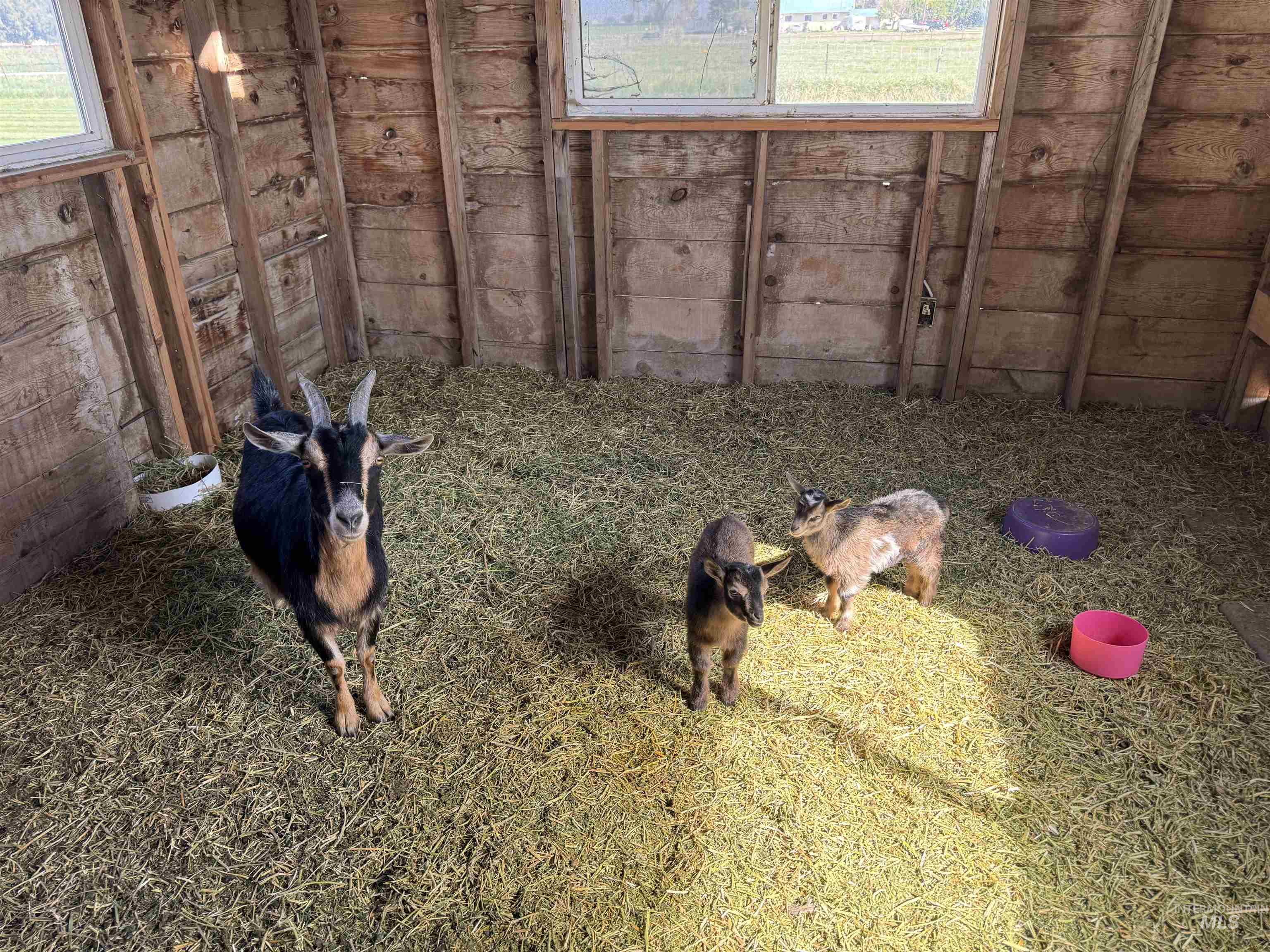 1698 State Hwy 46, Gooding, Idaho 83330, 3 Bedrooms, 1 Bathroom, Residential For Sale, Price $395,000,MLS 98983620